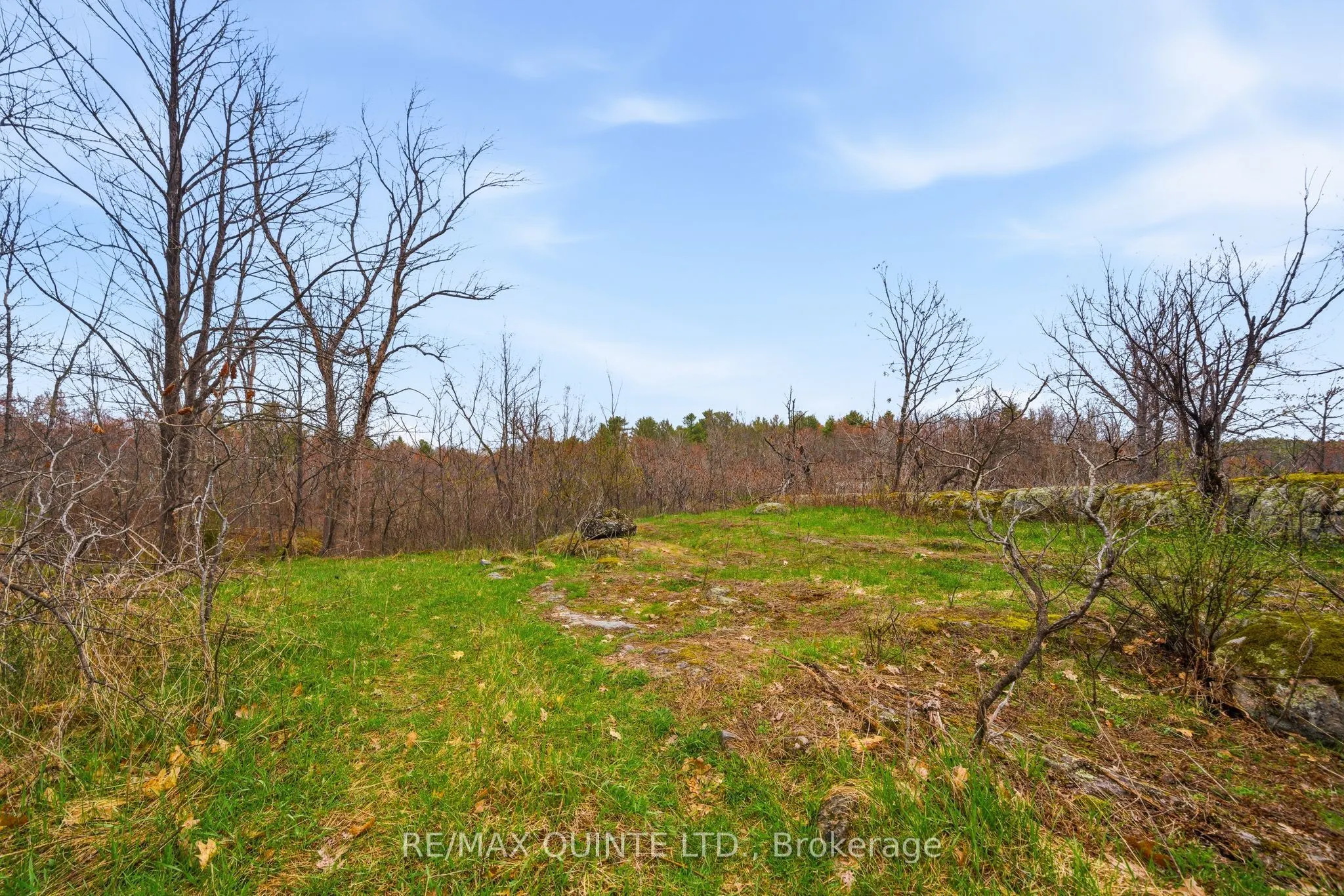 87 Gull Creek Lane