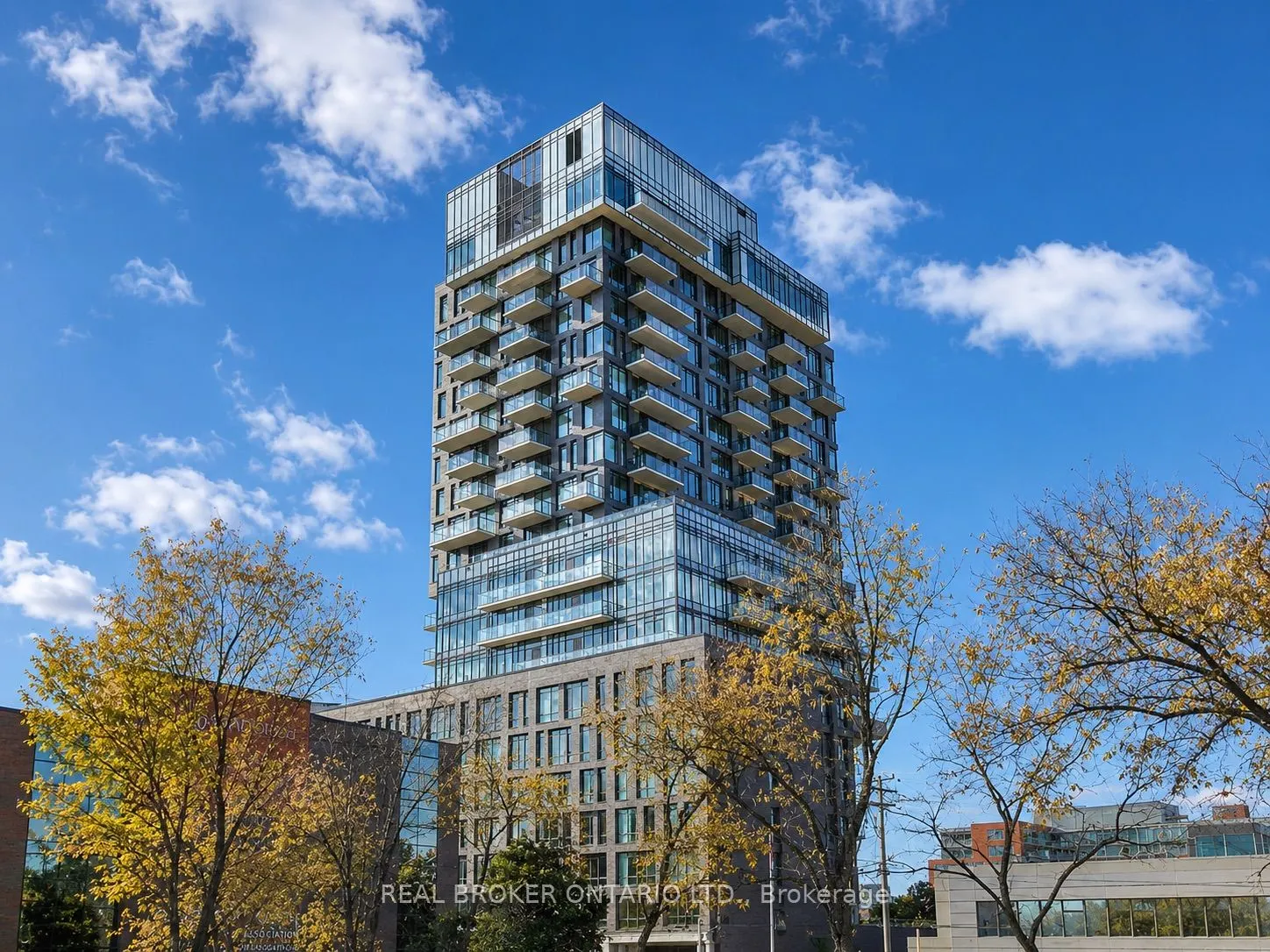 203 Catherine Street #703