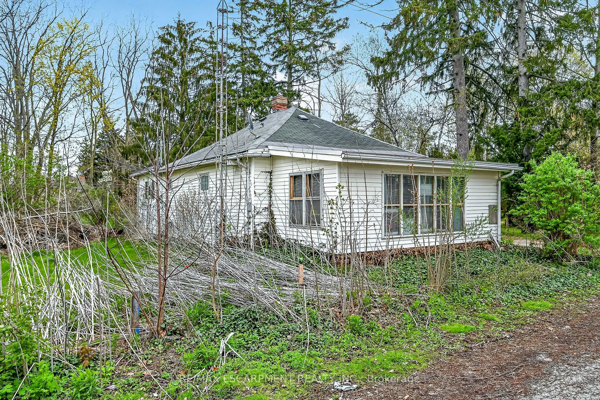 313 John Street