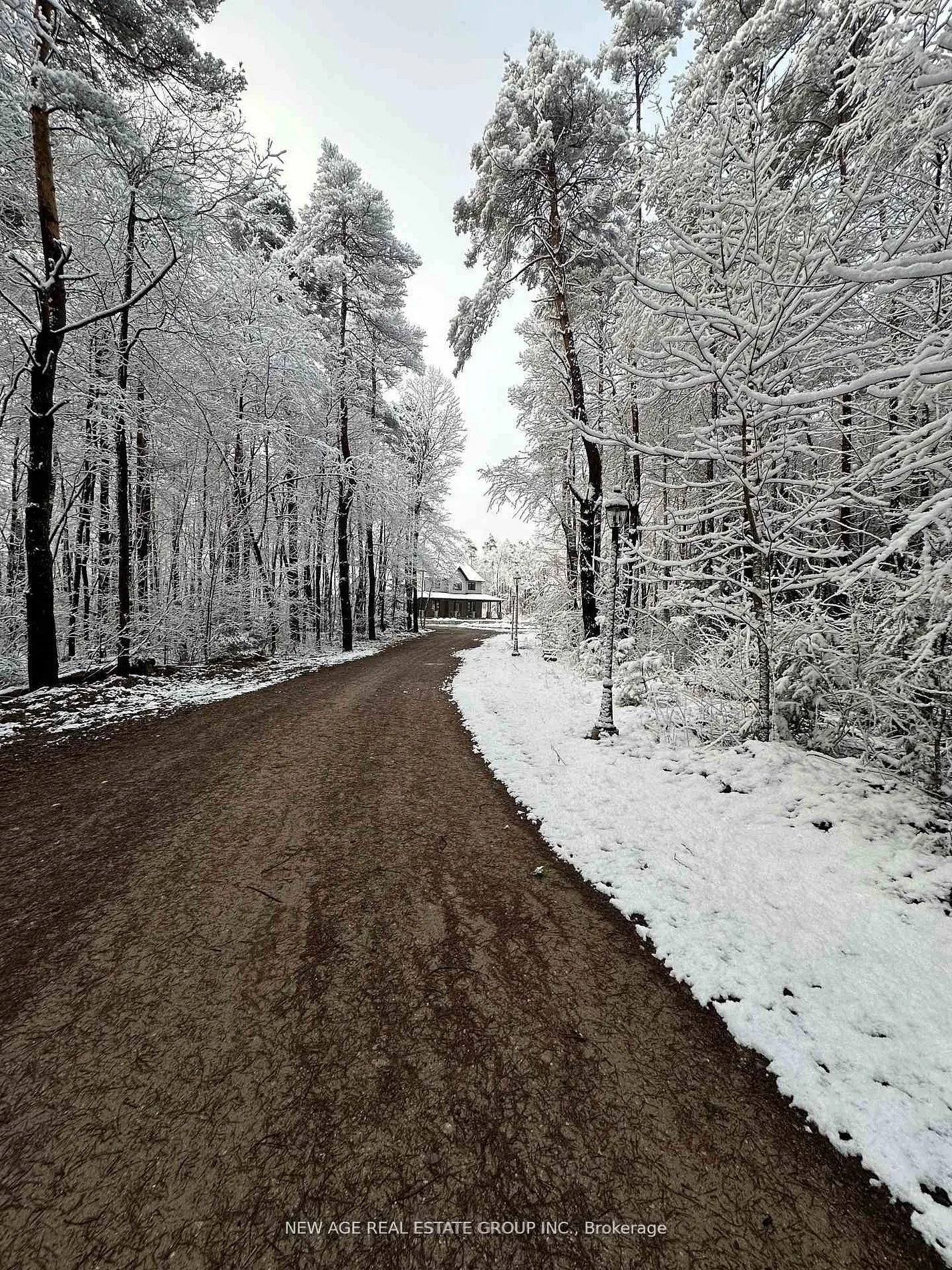 9031 Sideroad 17