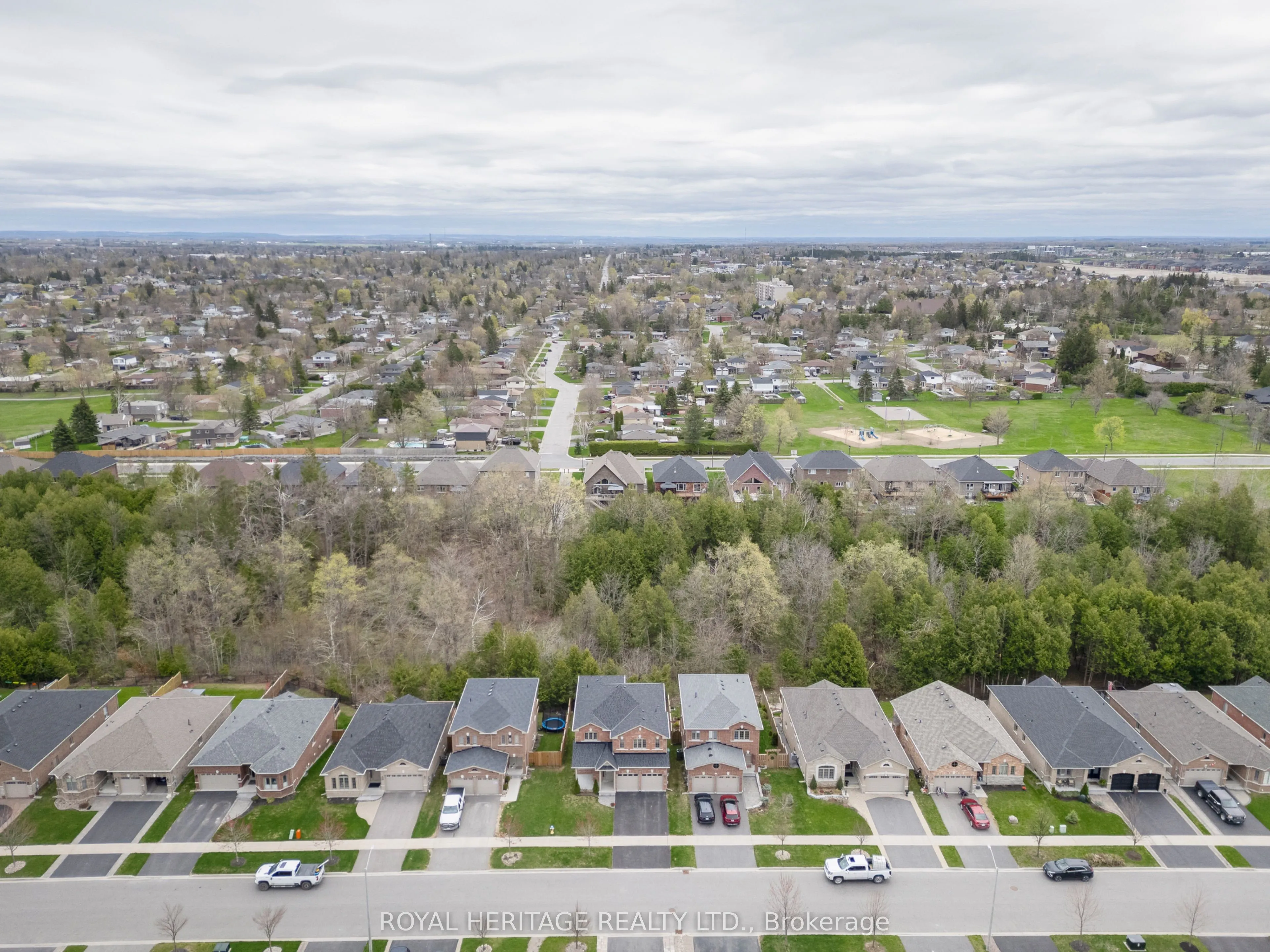 141 Springdale Drive