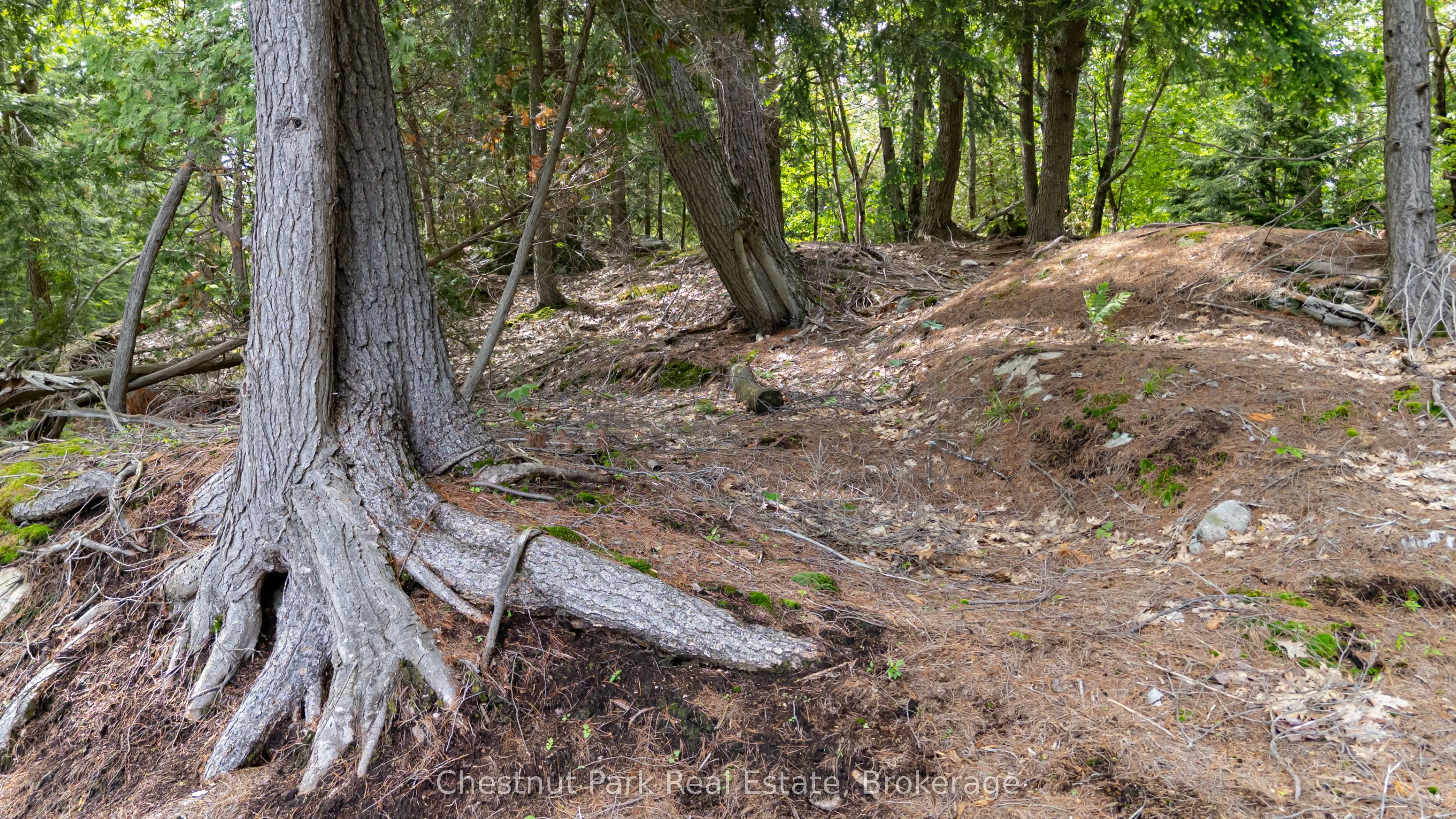 0 Meda Island Lot 4