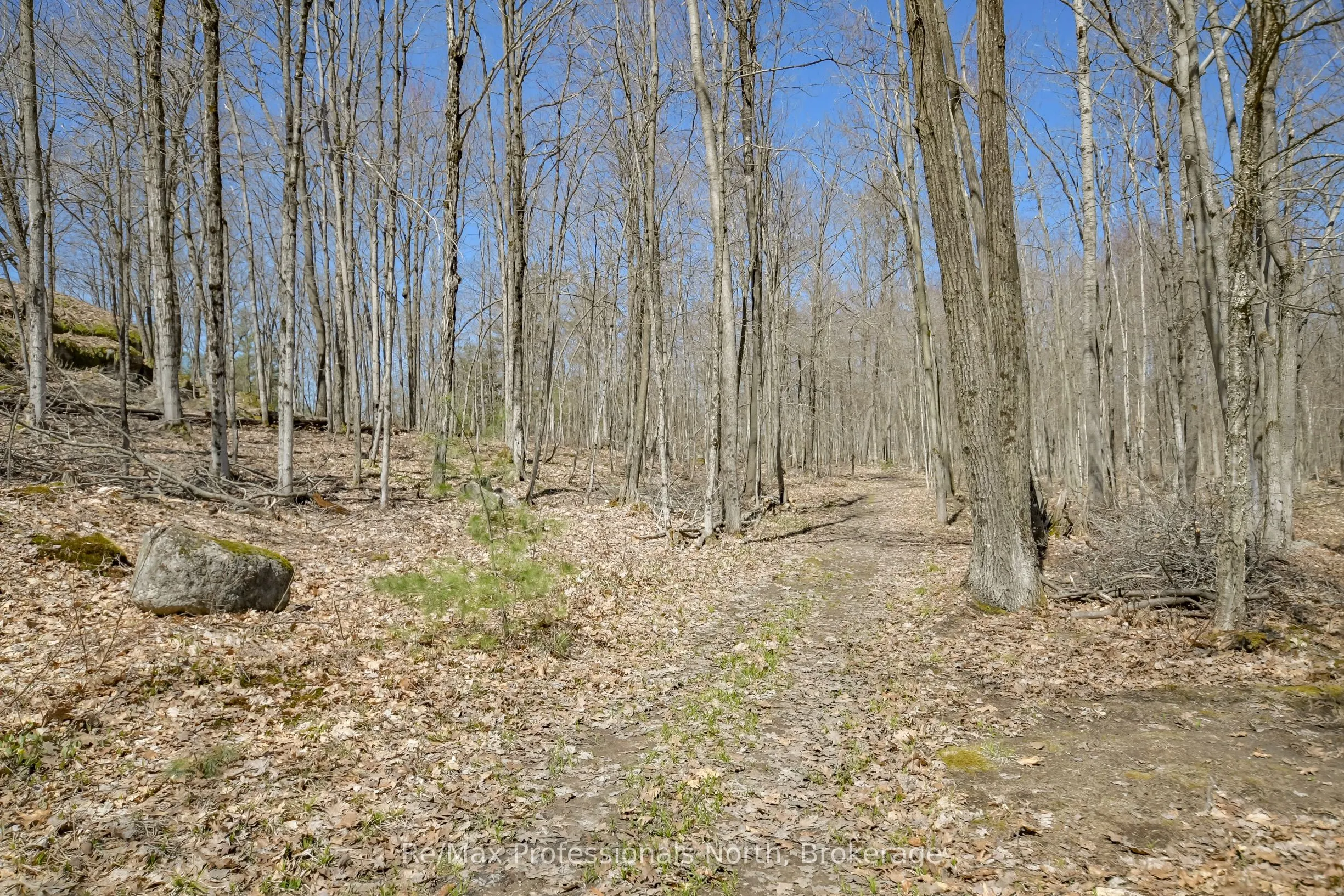 1017 BARLOCHAN Road