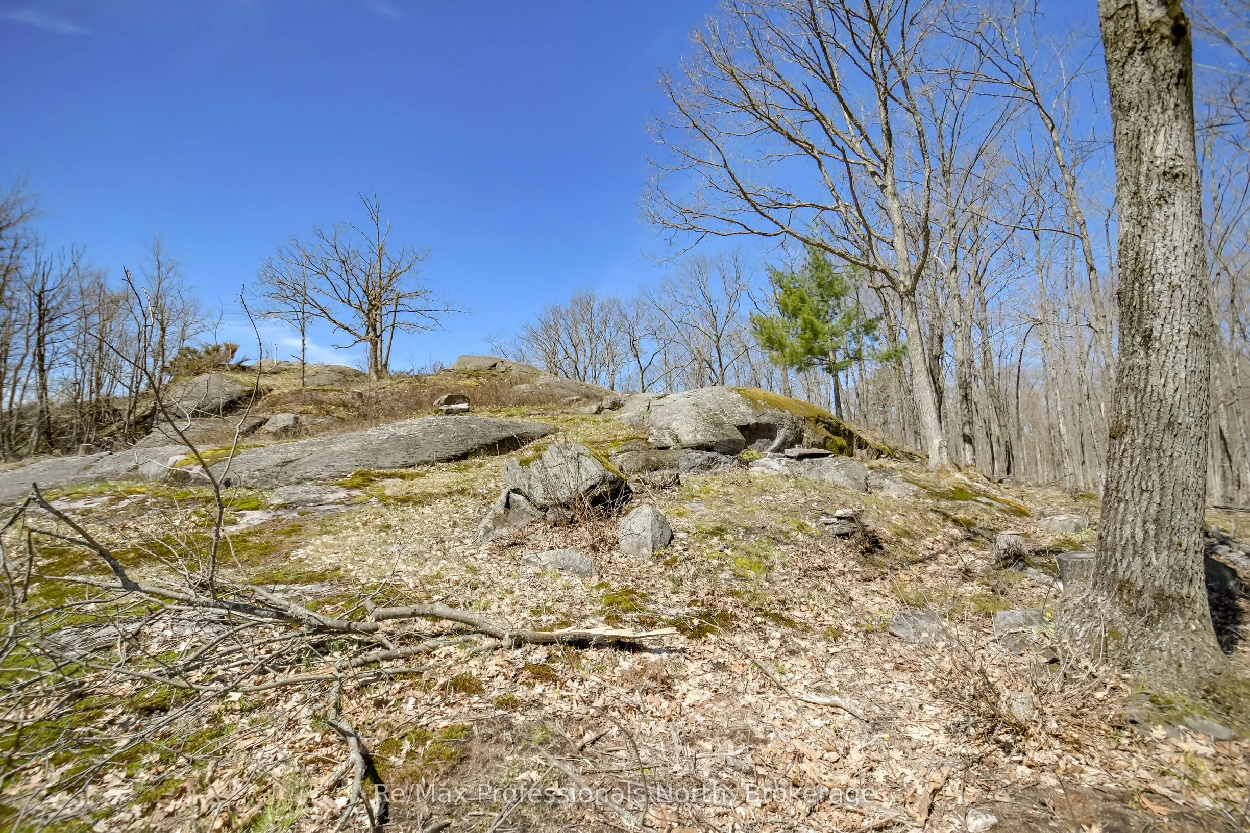 1017 BARLOCHAN Road