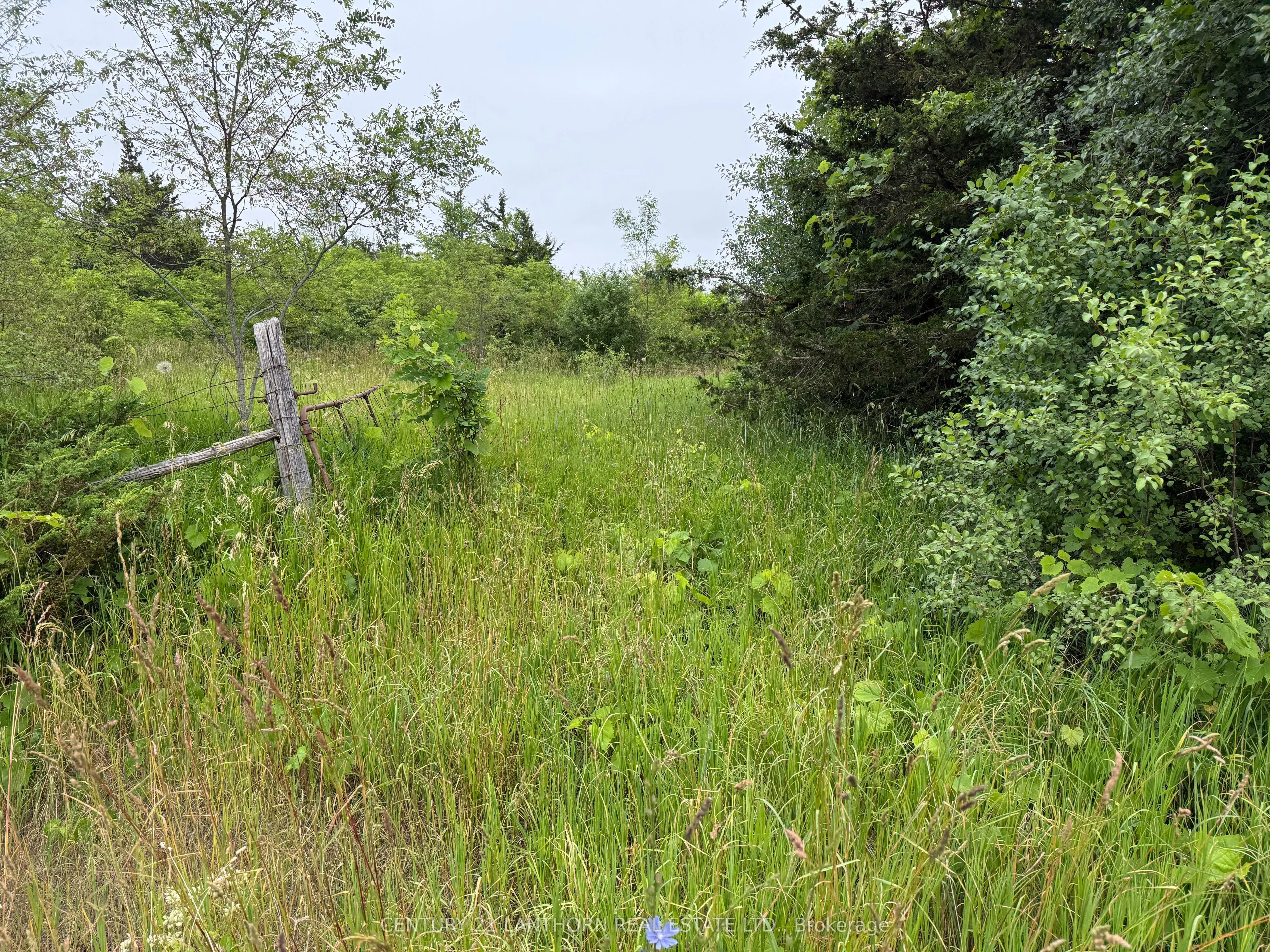 Between 72 & 337 County 24 Road