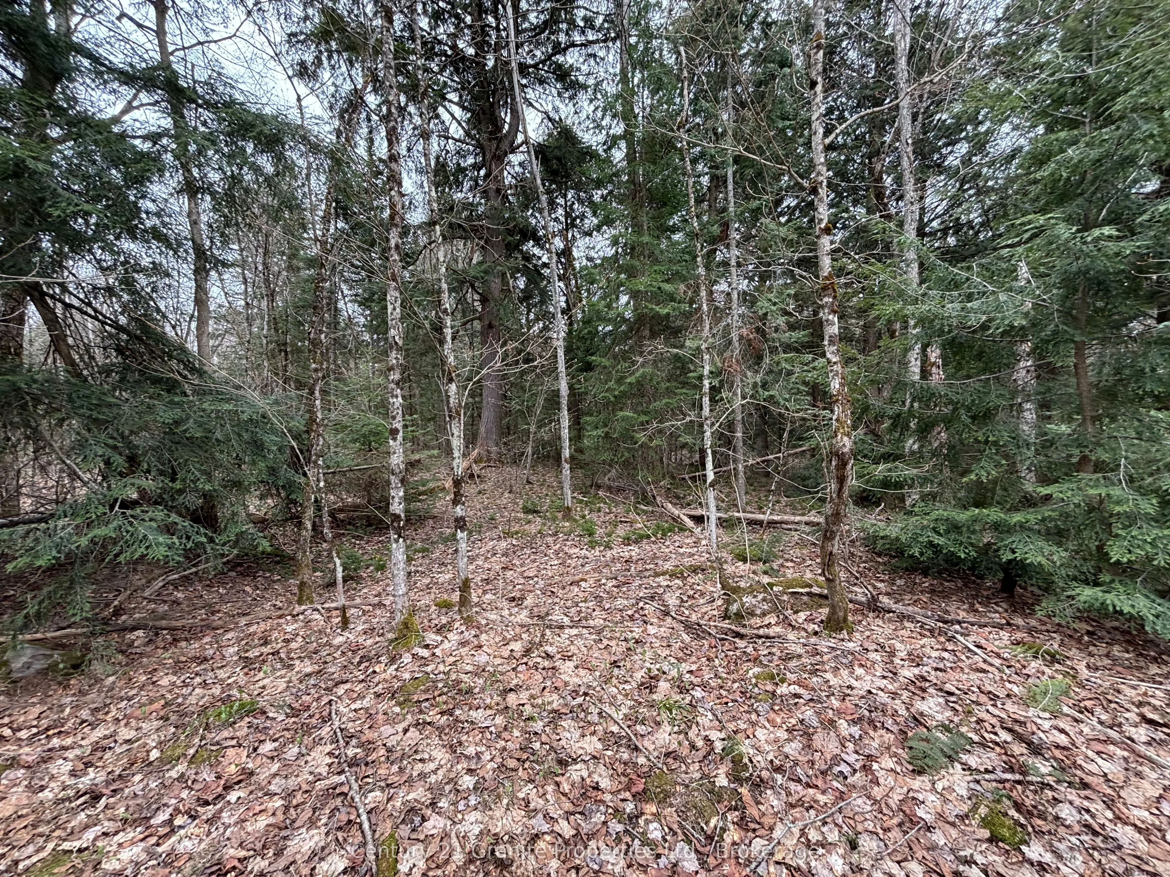Lot 1 Loch Erne Road