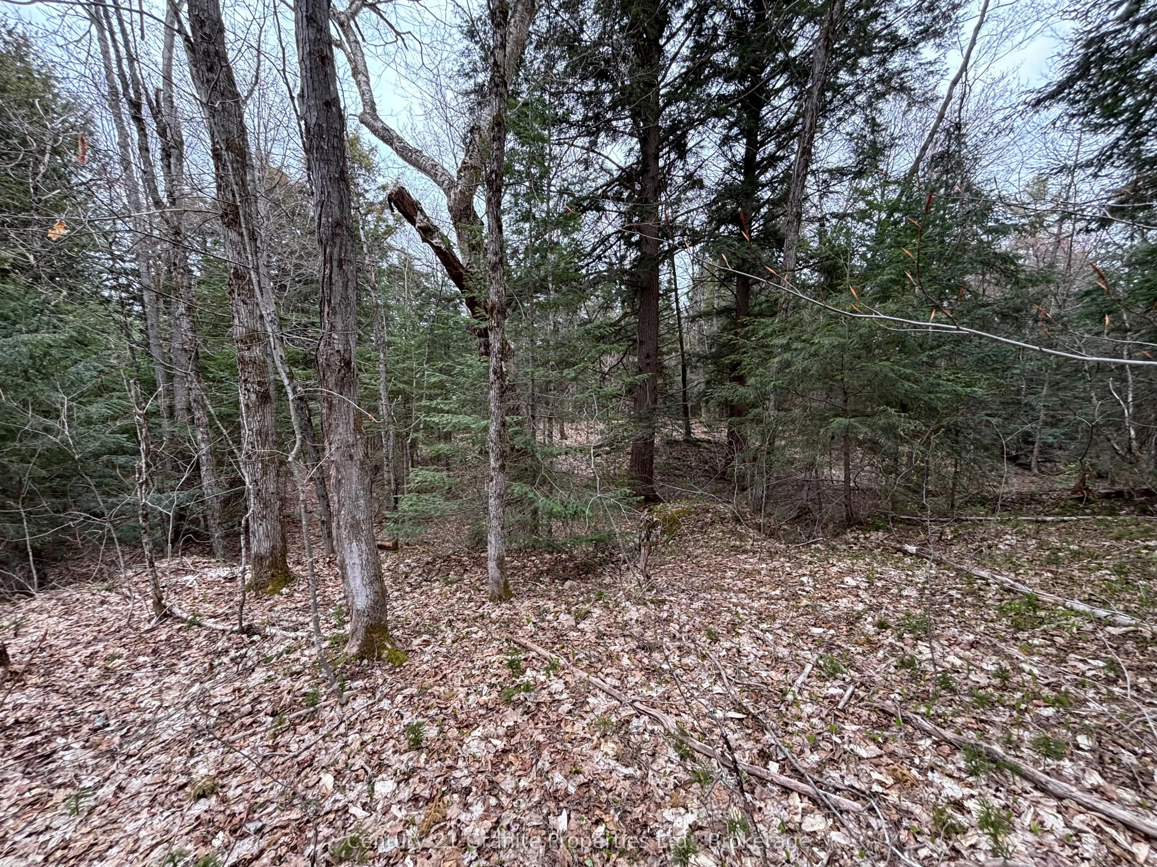 Lot 1 Loch Erne Road