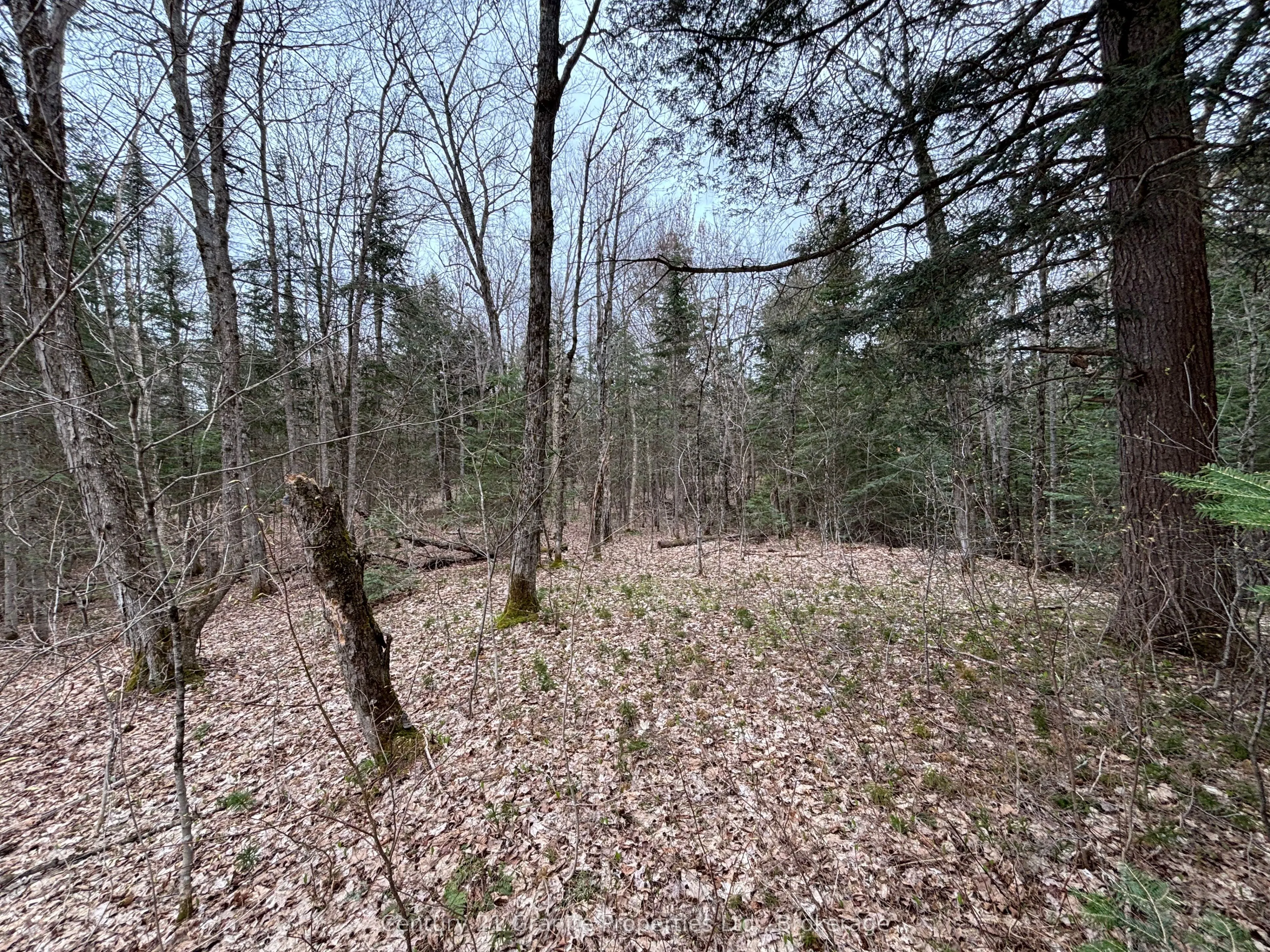 Lot 1 Loch Erne Road