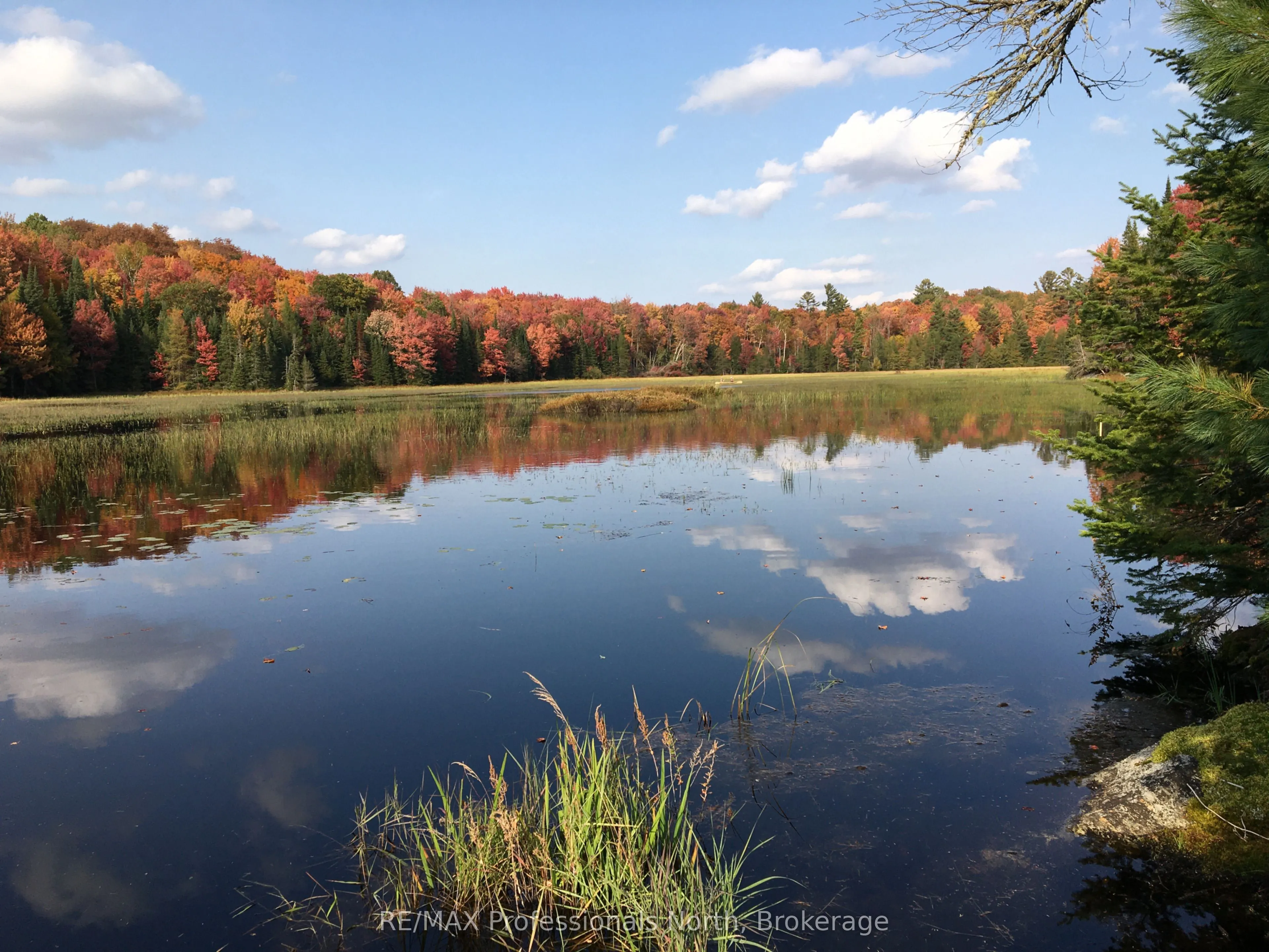 862 Lynx Lake Rd Road