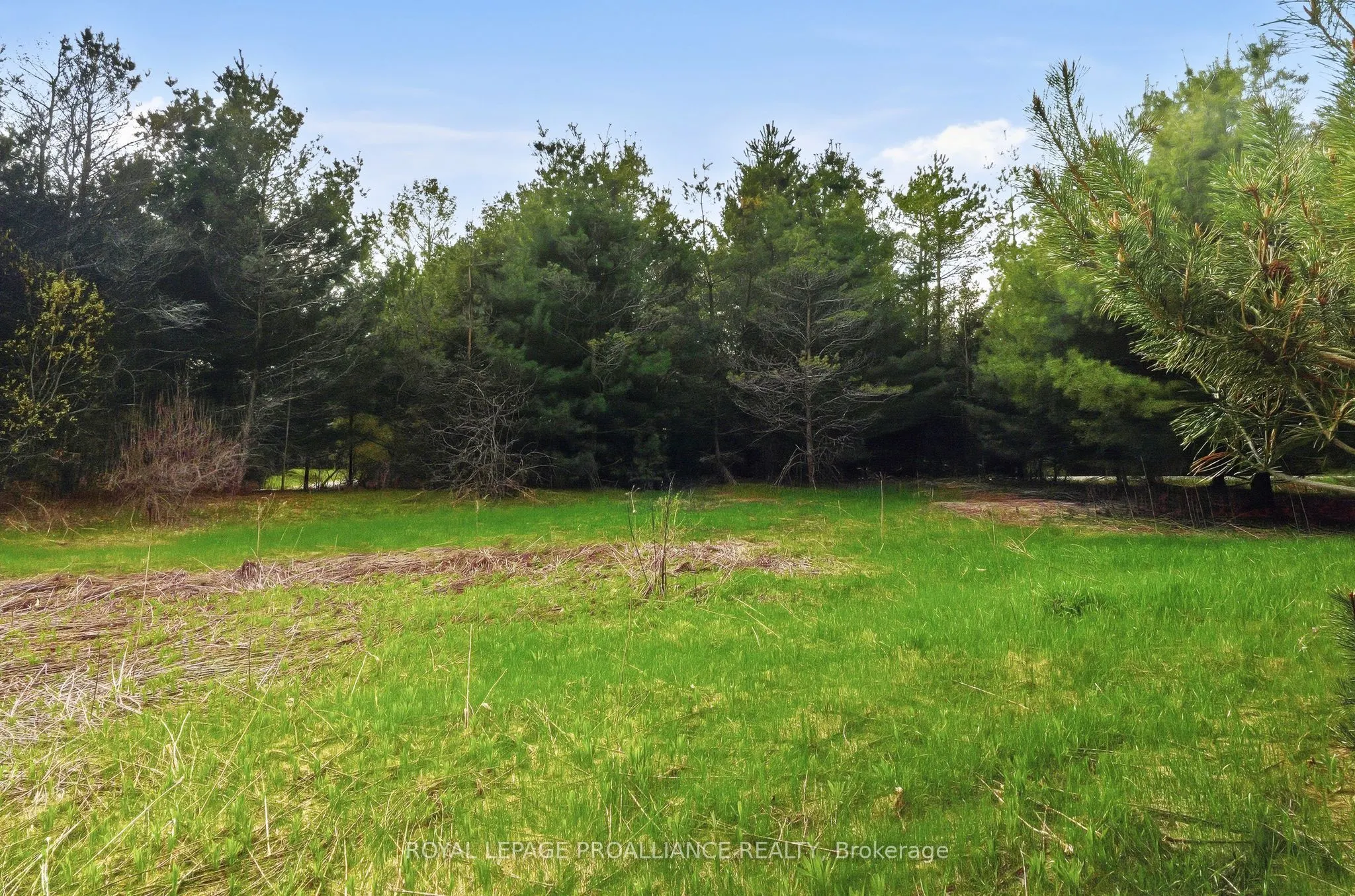 0 Woodland Avenue