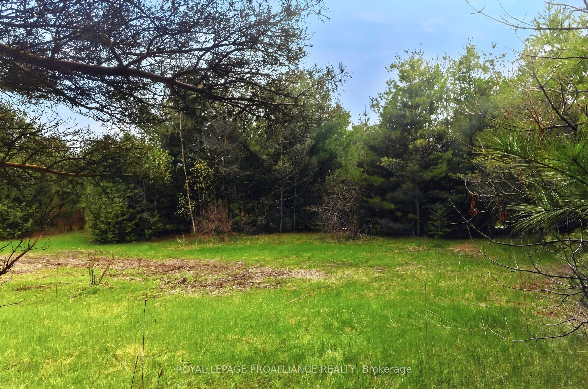 0 Woodland Avenue