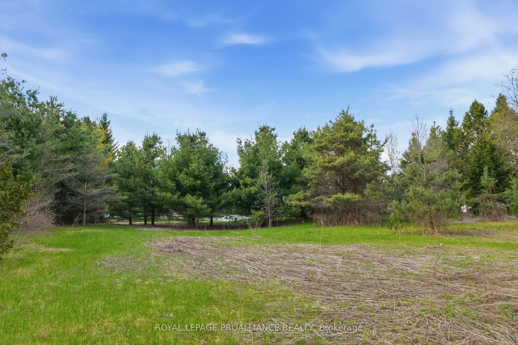 0 Woodland Avenue