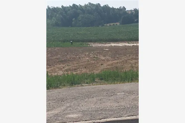 3151 County Rd 2