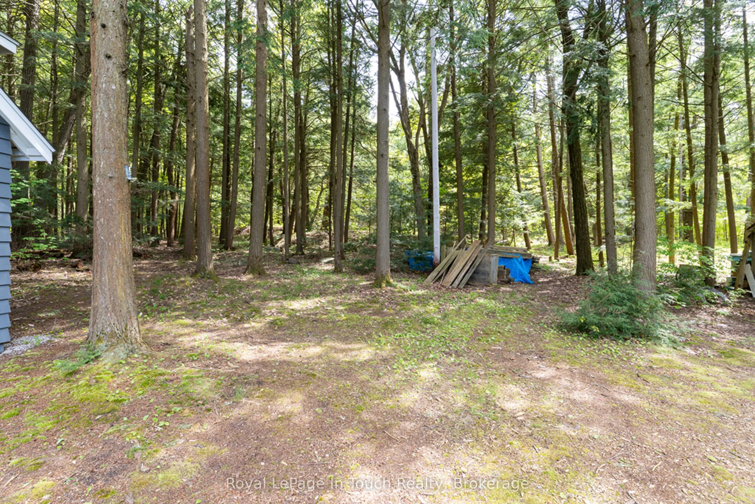 15052 Georgian Bay Shore