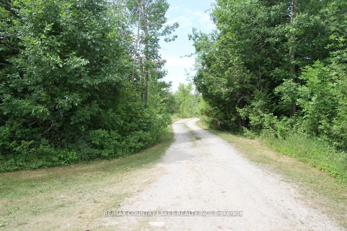 264 Mcguire Beach Road