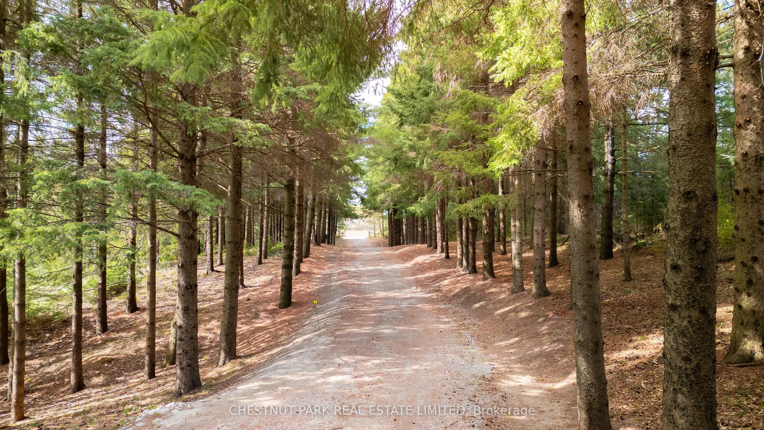 286364 10th Side Road
