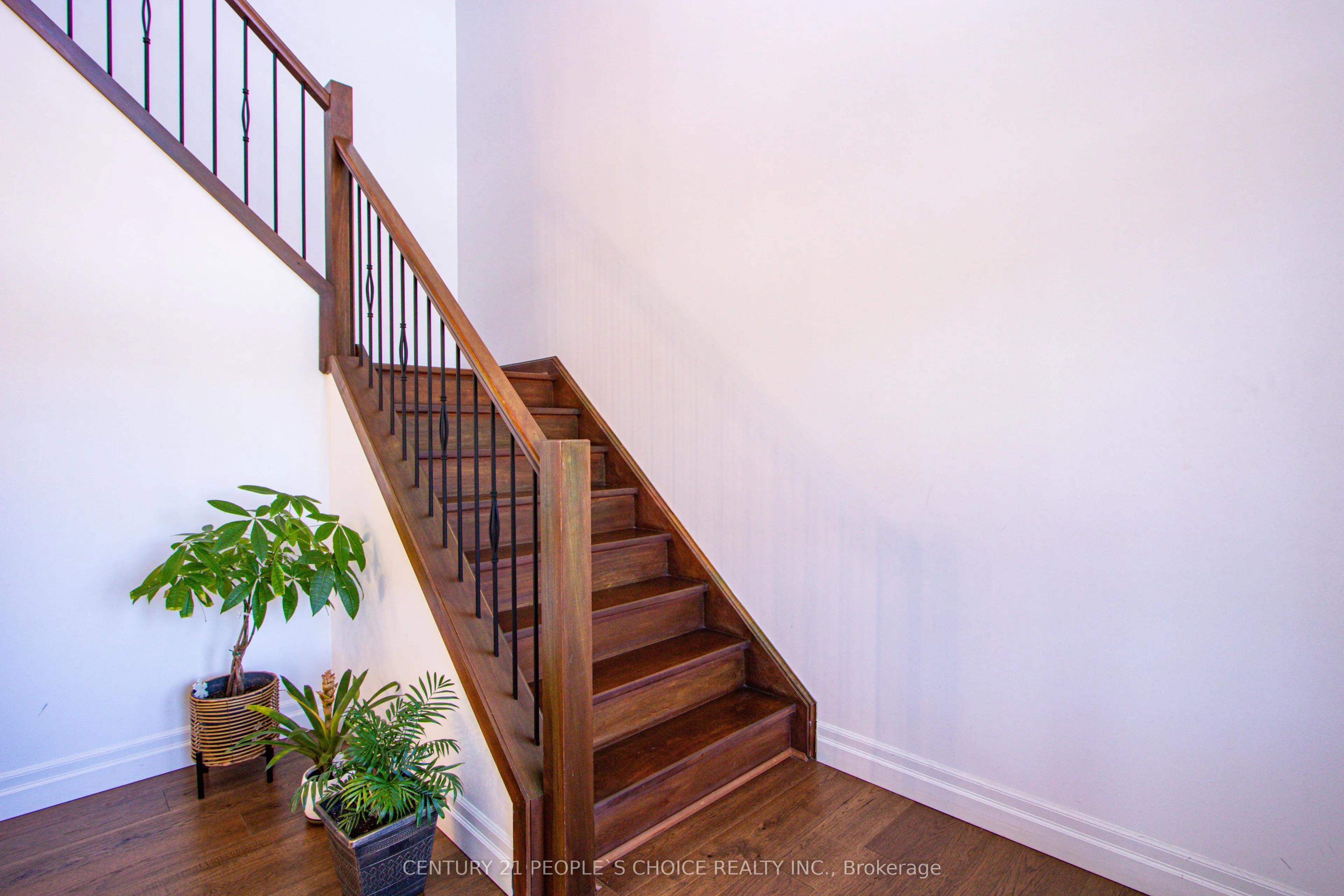 222 Boardwalk Way