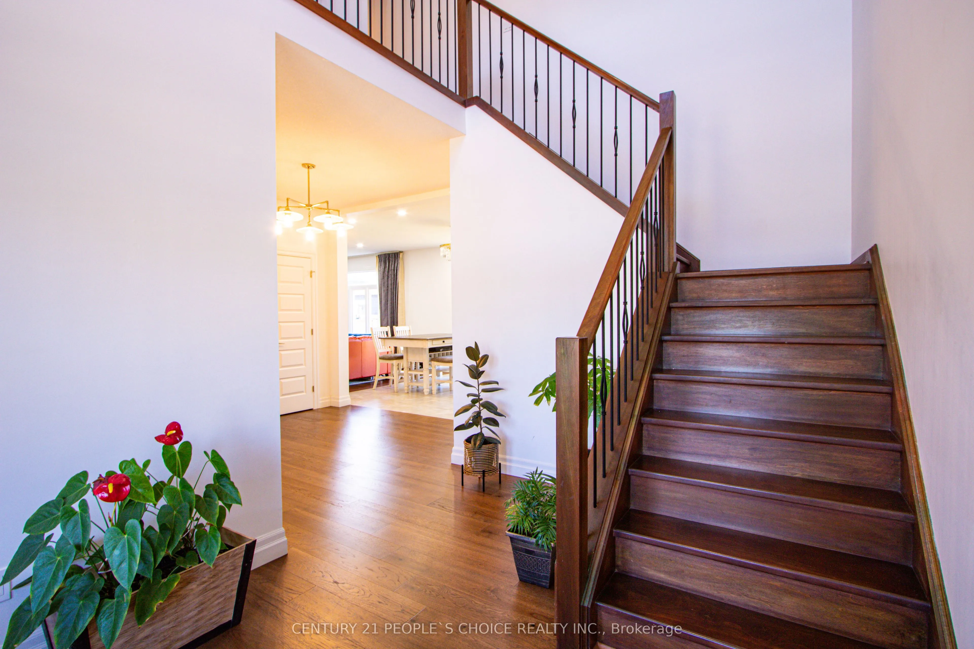 222 Boardwalk Way