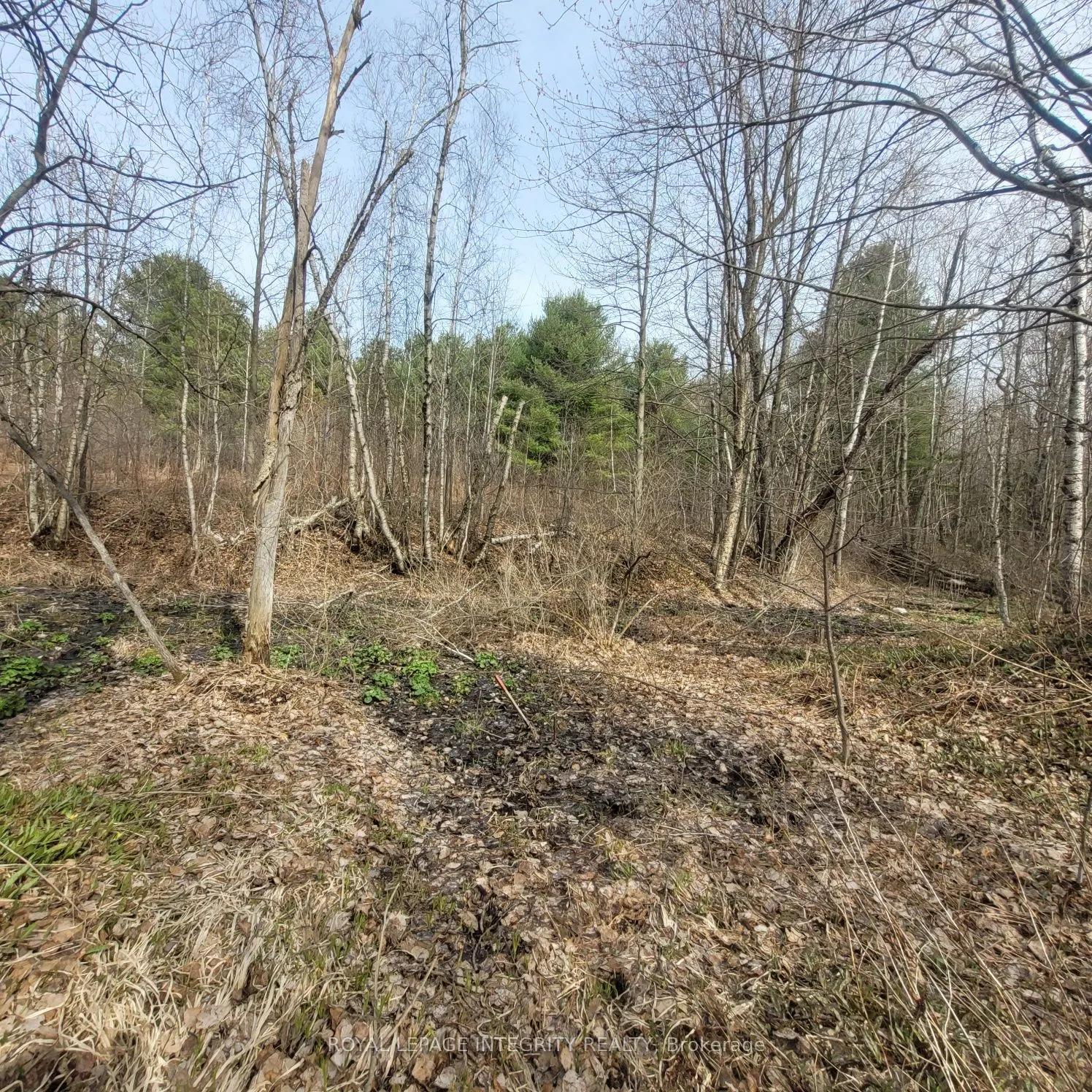 53 Beaver Lane