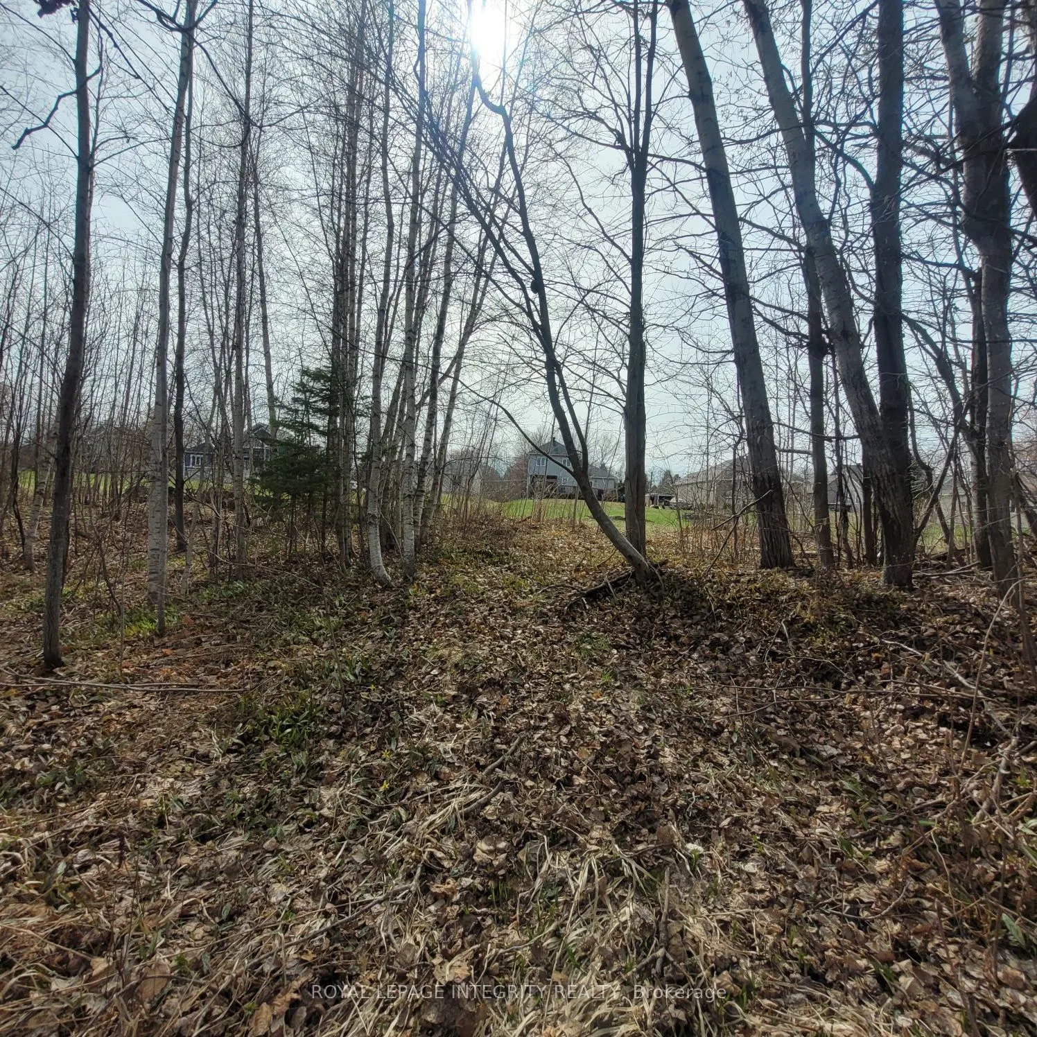 53 Beaver Lane