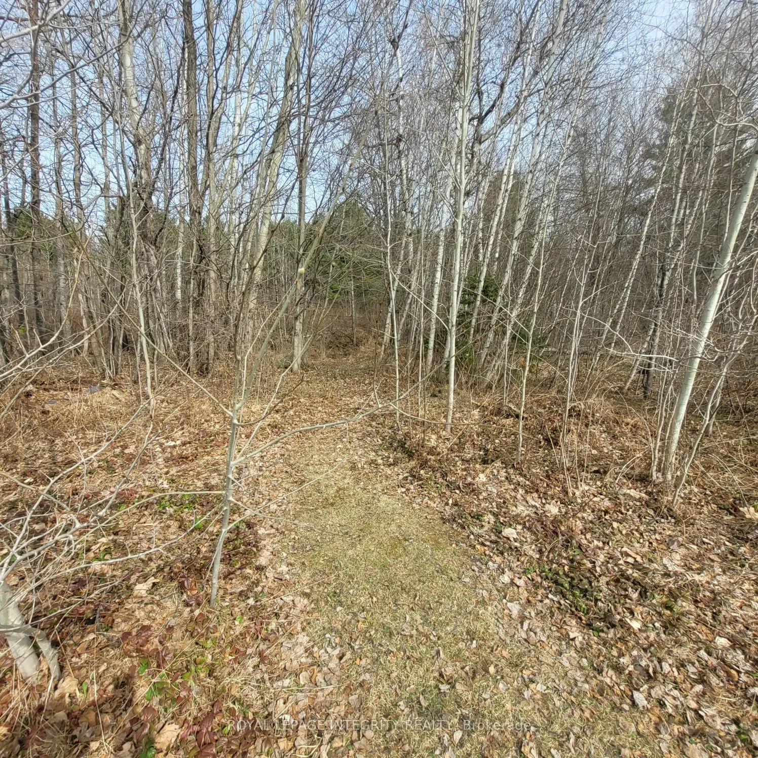 53 Beaver Lane