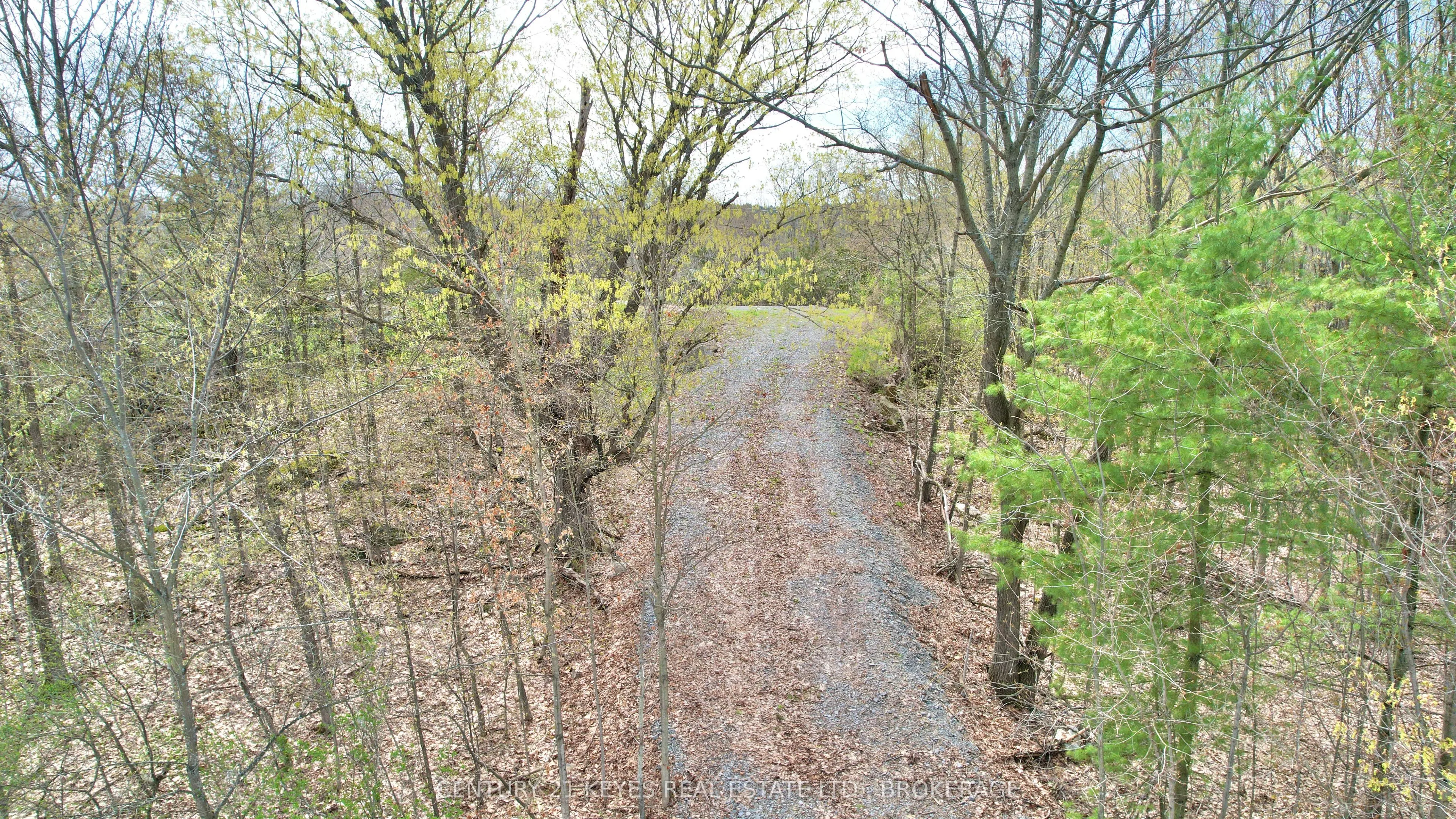 4798 Hwy 15 Highway