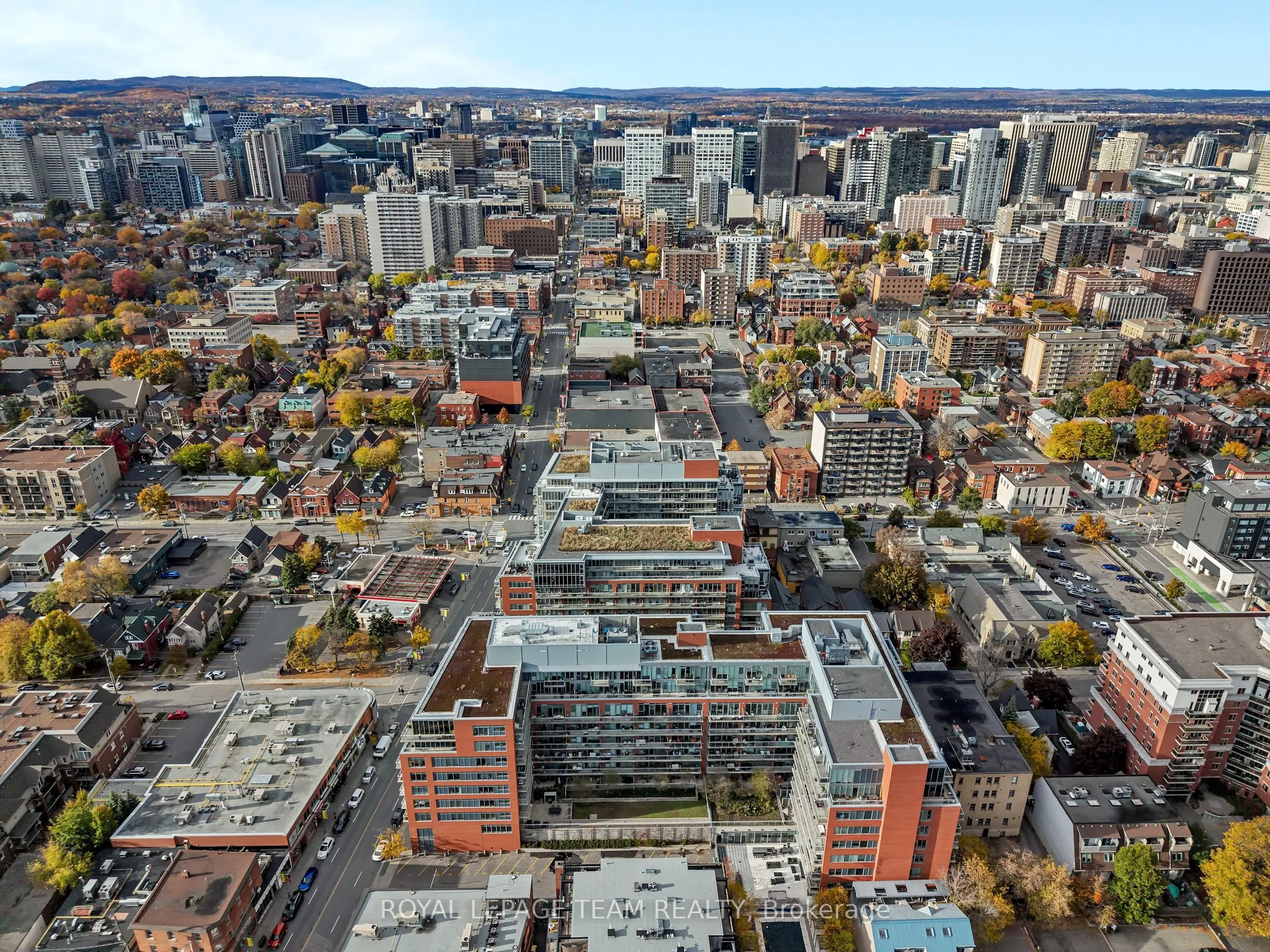 360 Mcleod Street #905