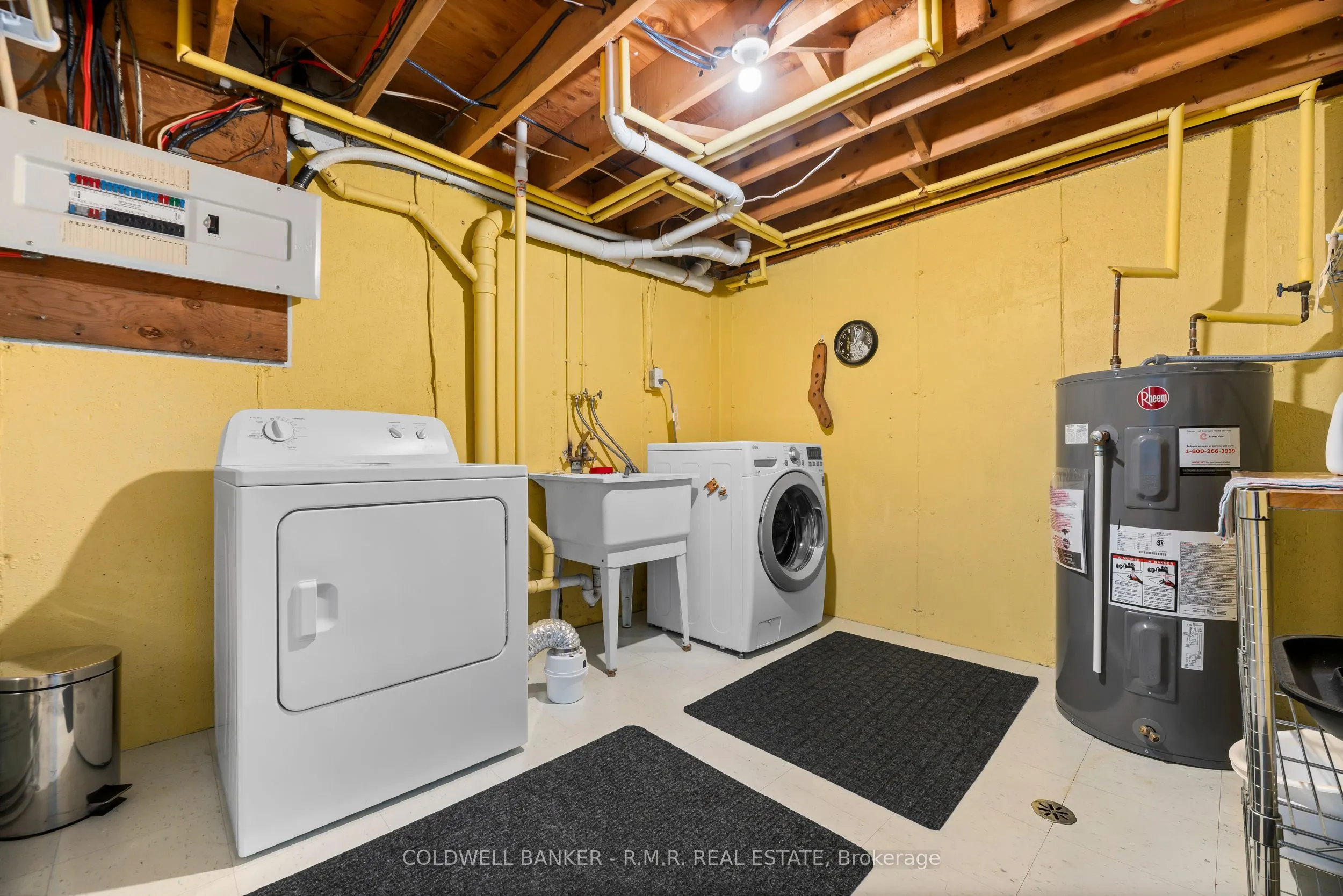 373 D'arcy Street #5