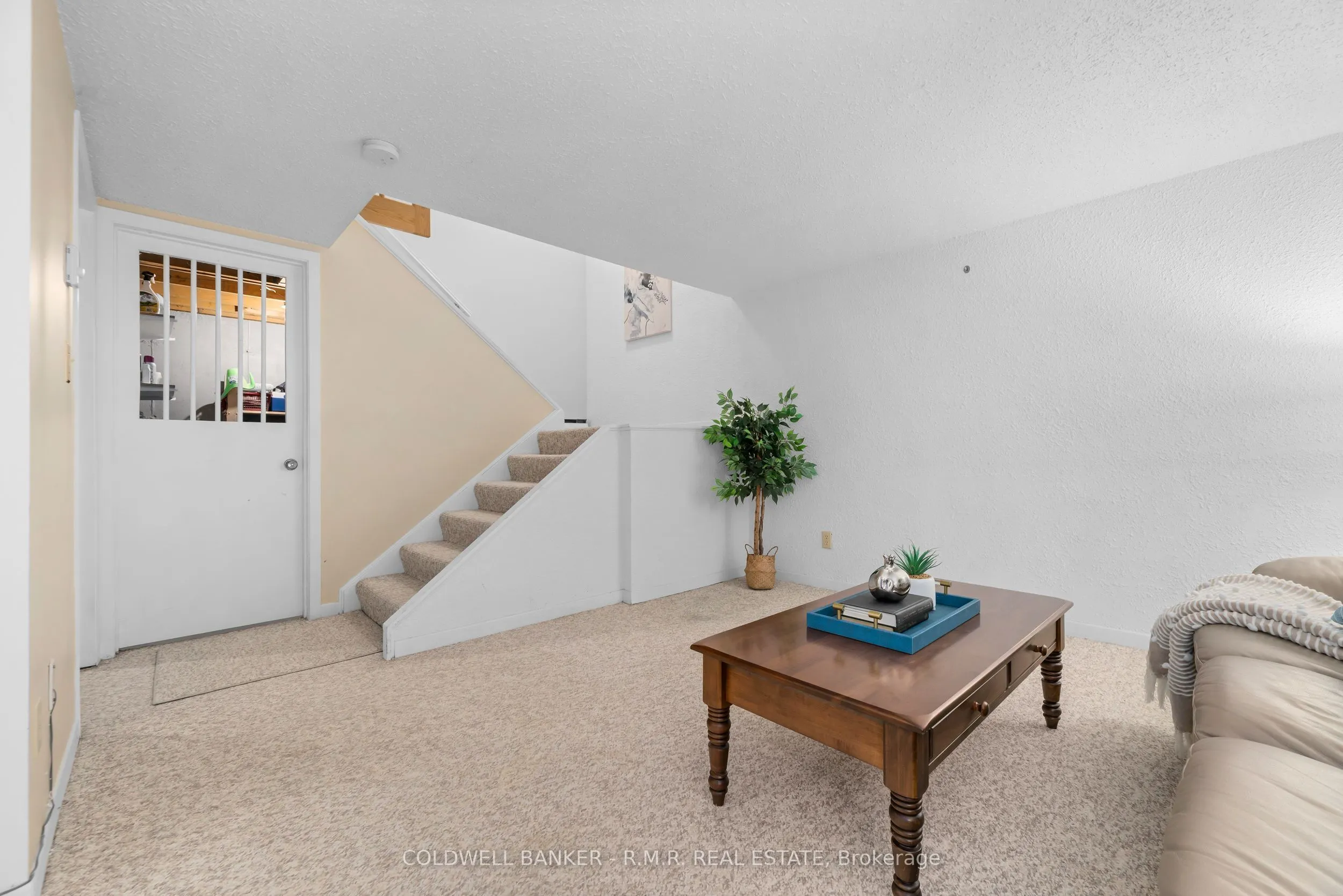 373 D'arcy Street #5