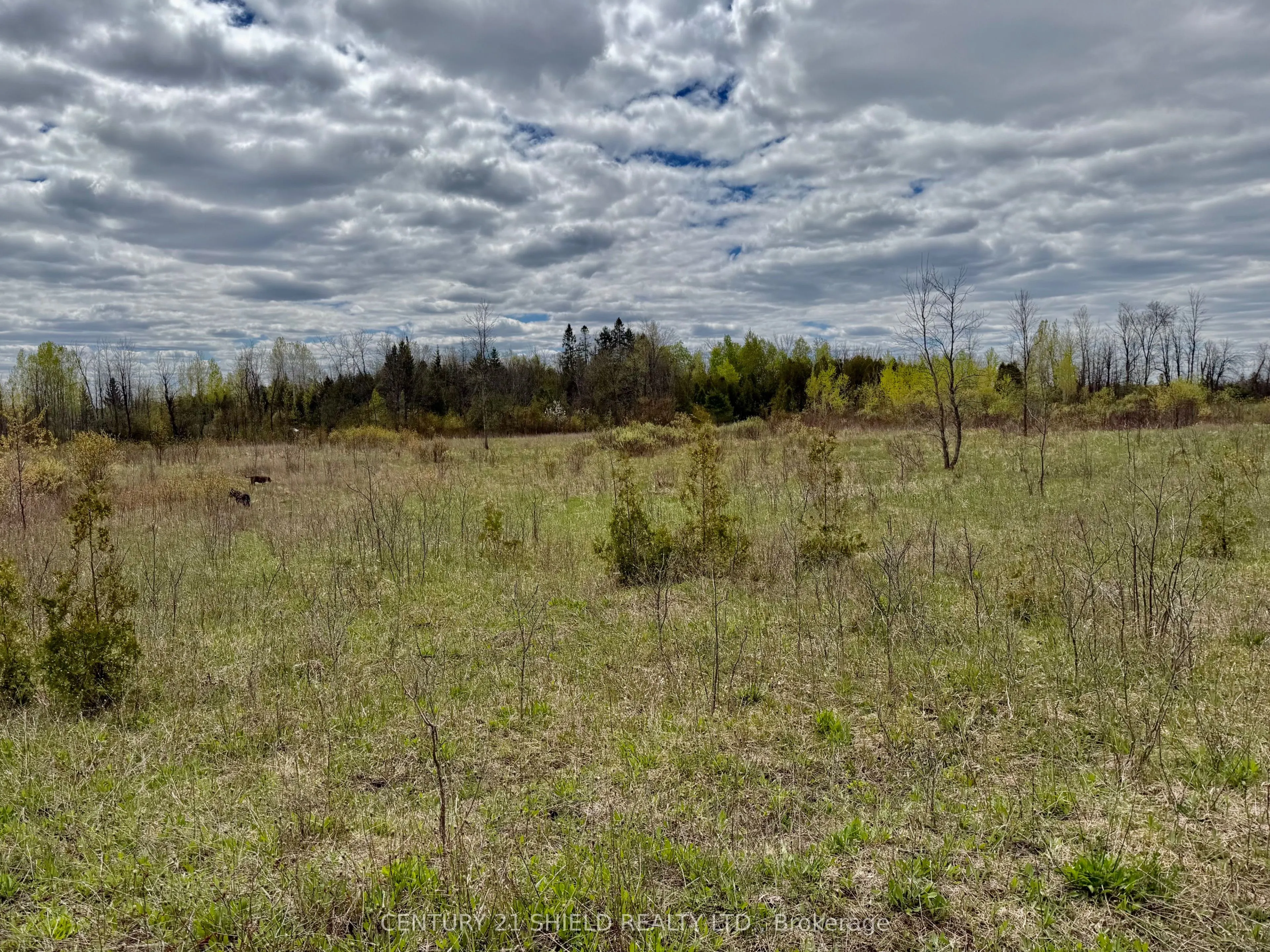 17637 Island Road E #, St. Andrews