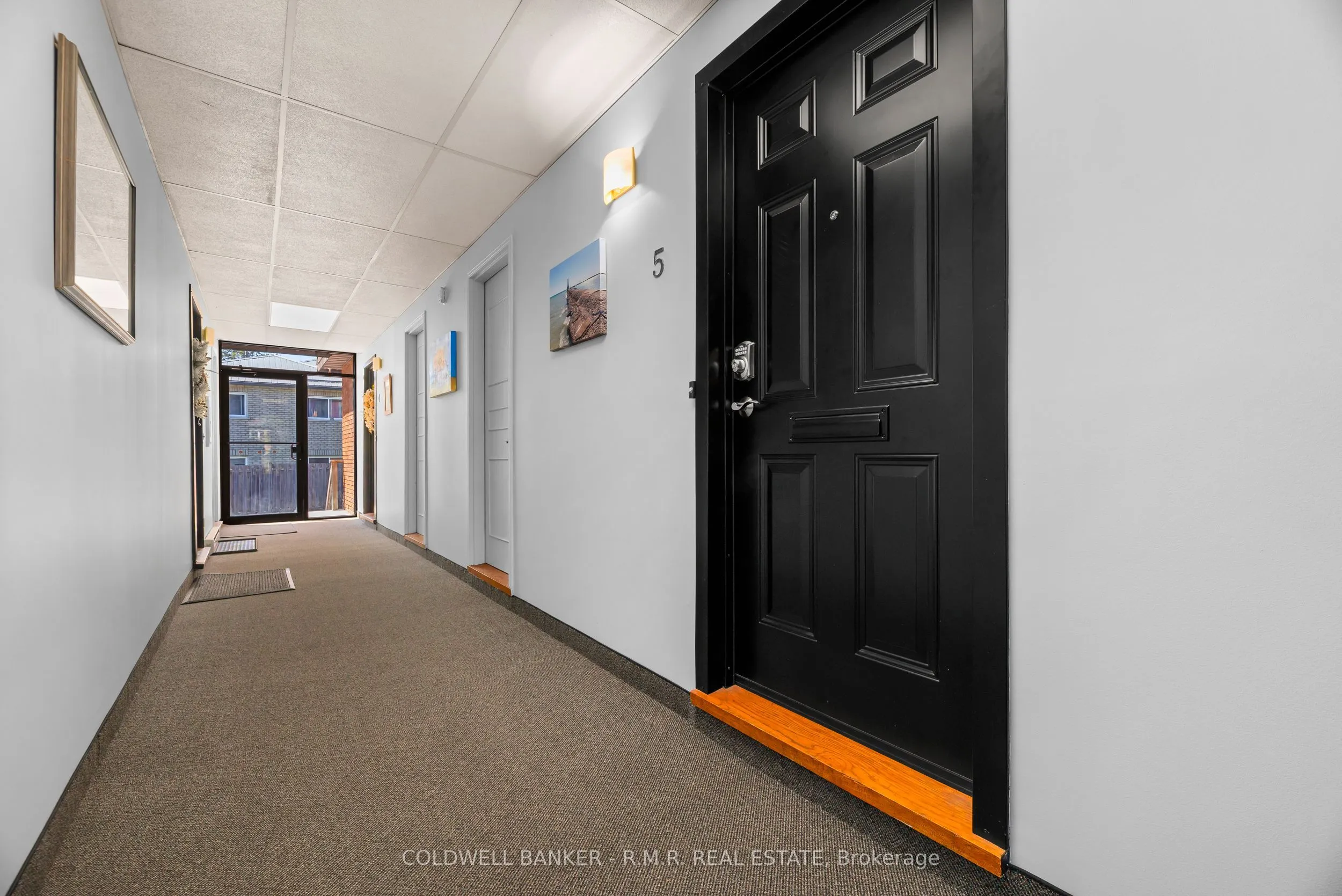 373 D'arcy Street #5