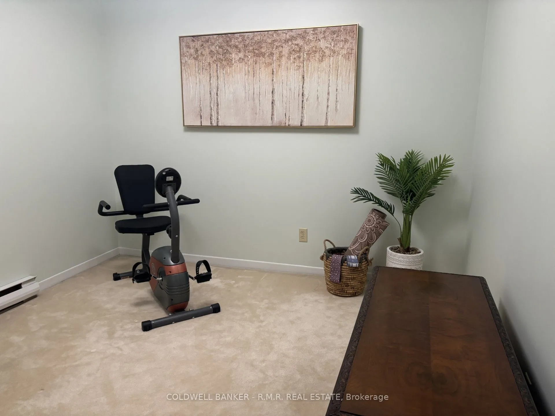 373 D'arcy Street #5