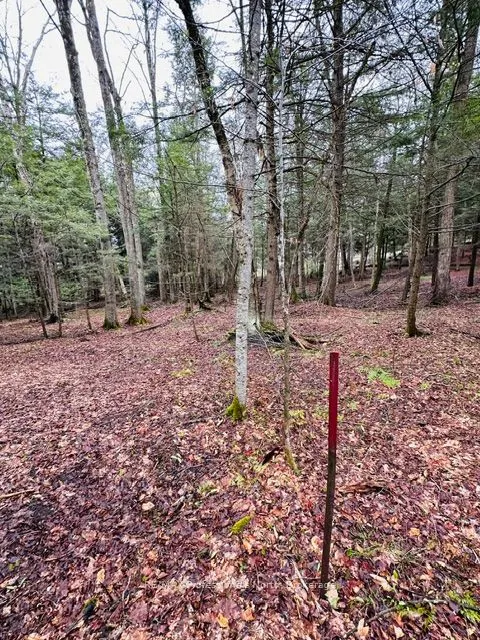 1297 Hunter Creek Road