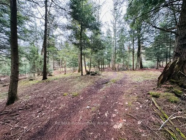 1297 Hunter Creek Road