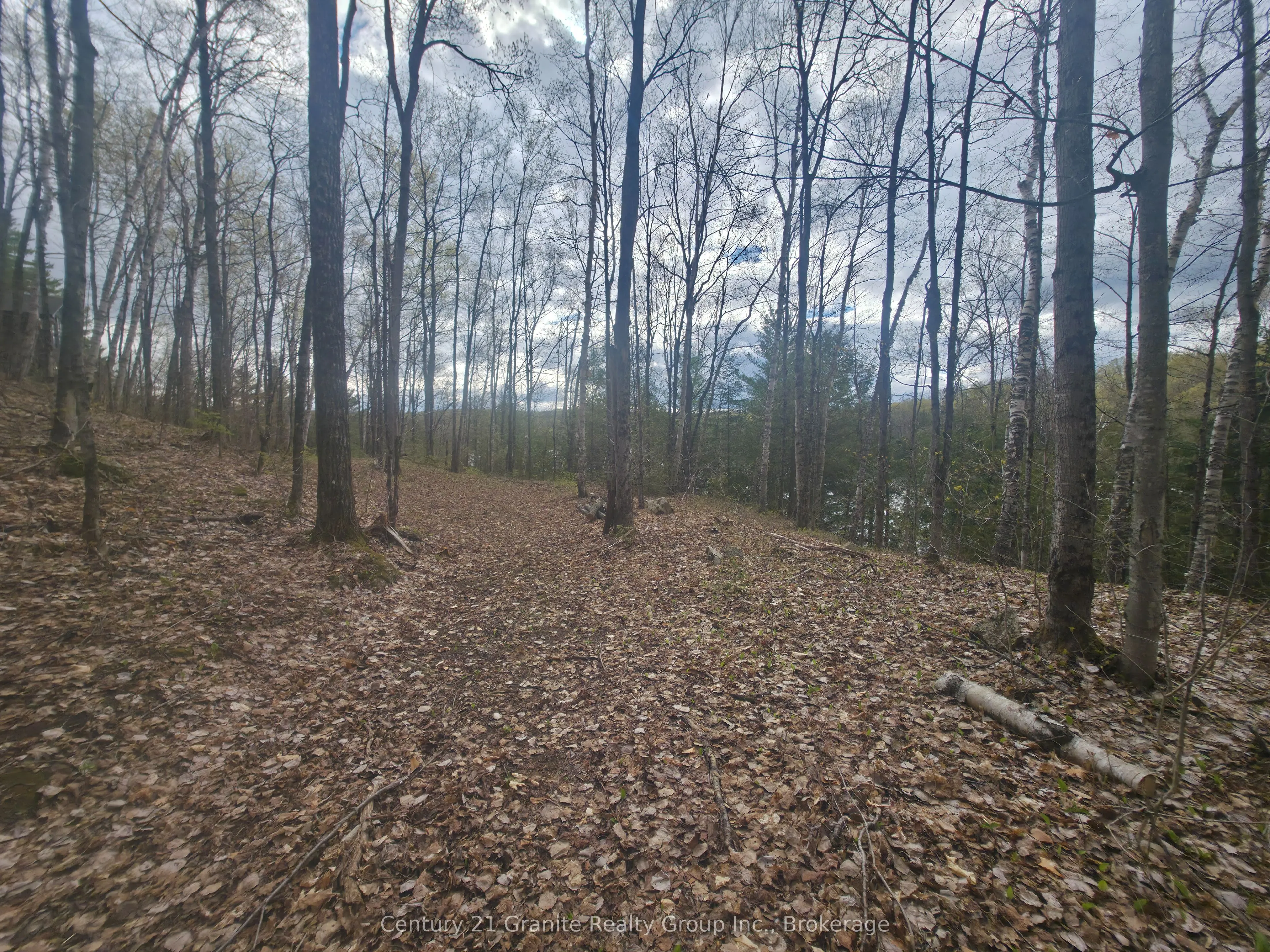 1325 Andek Trail