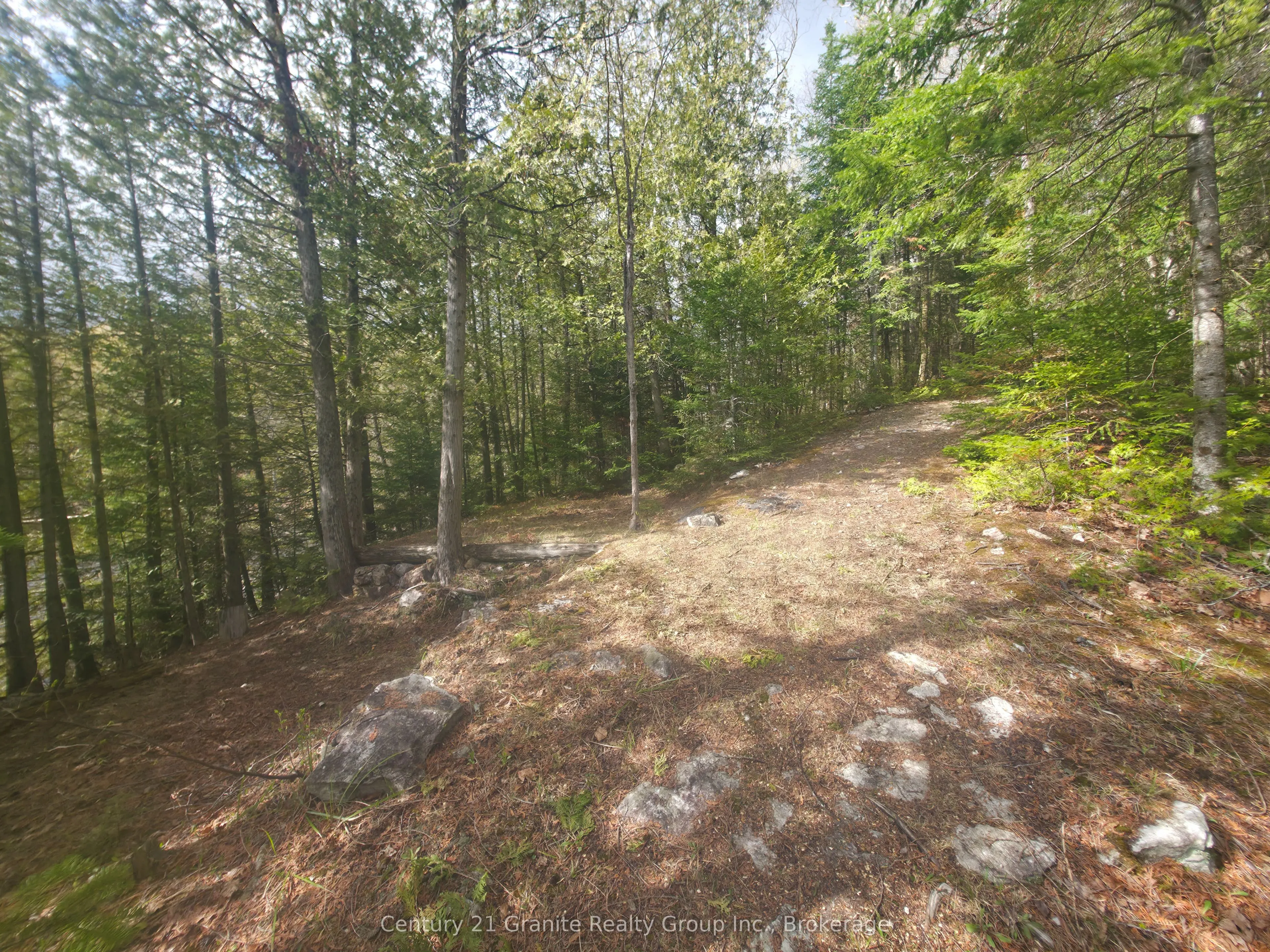 1325 Andek Trail