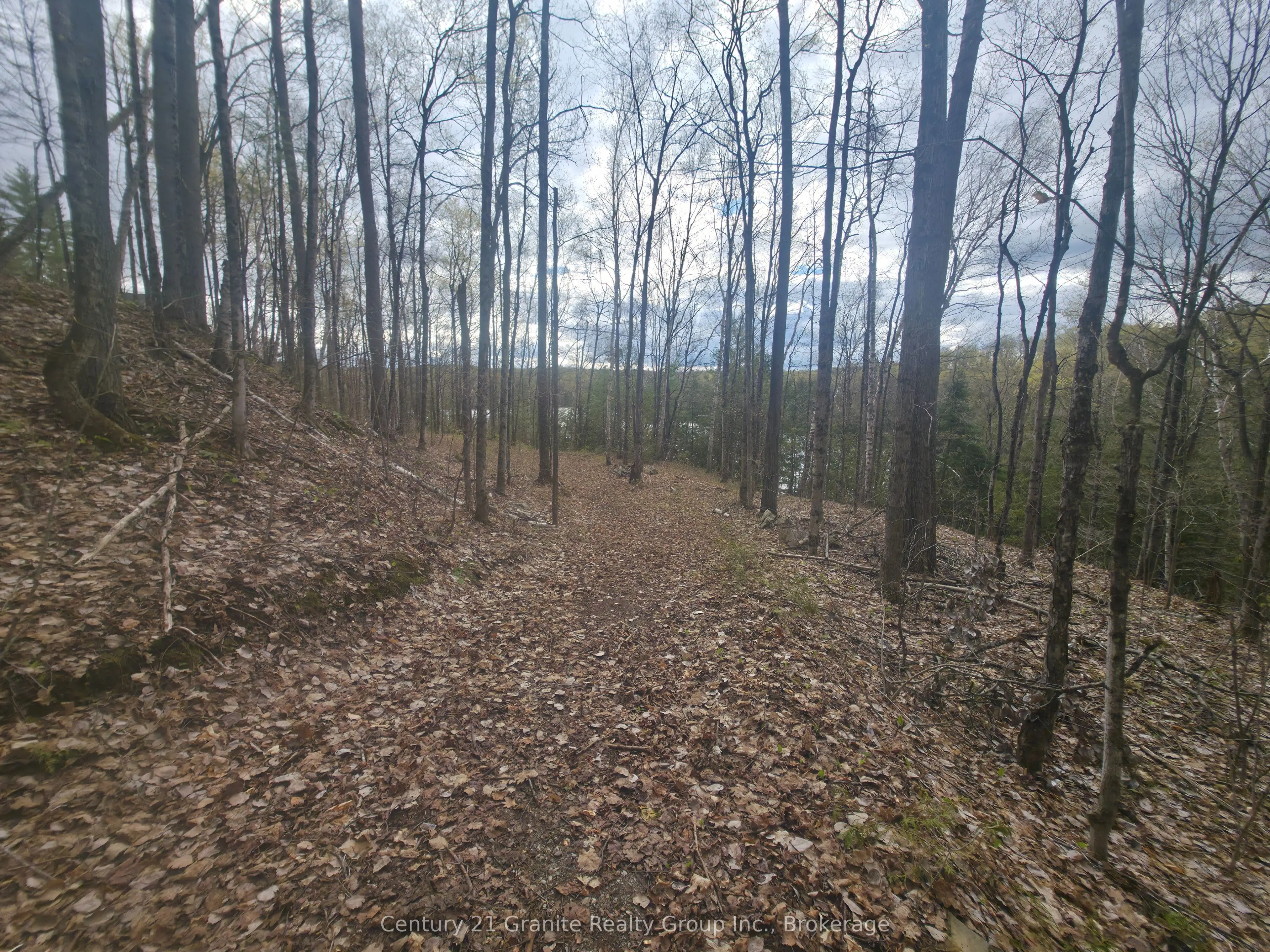 1325 Andek Trail