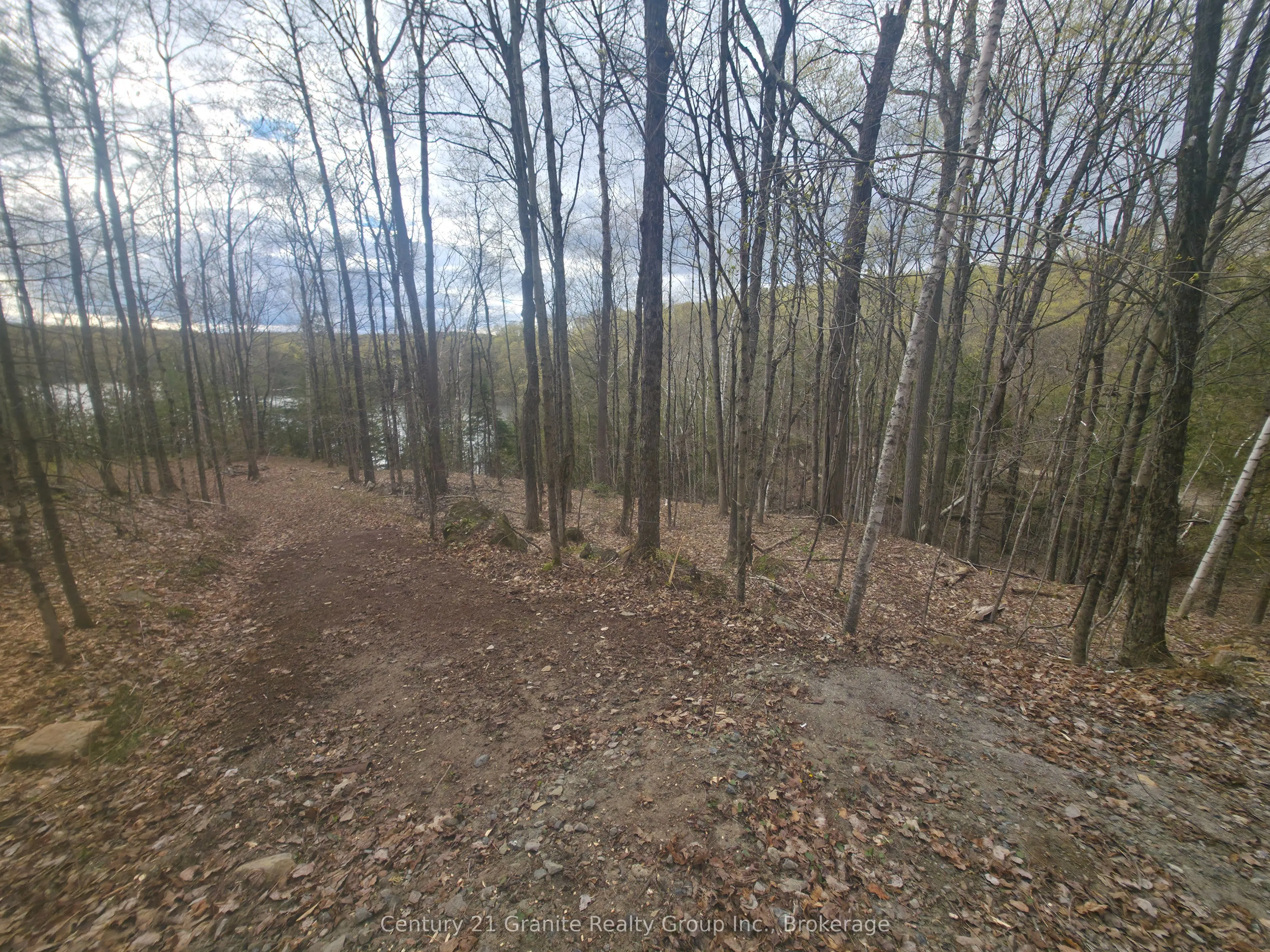 1325 Andek Trail