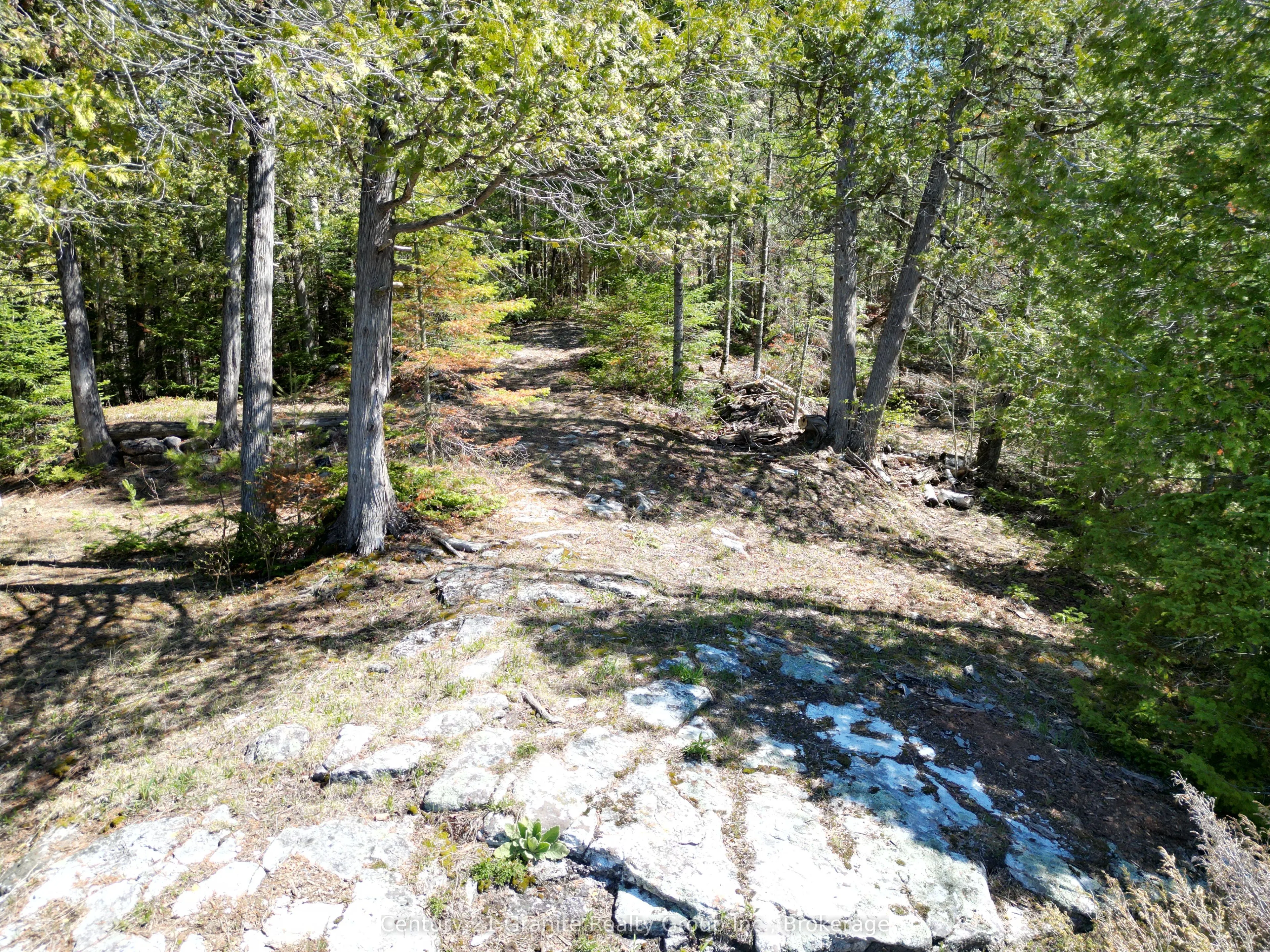 1325 Andek Trail