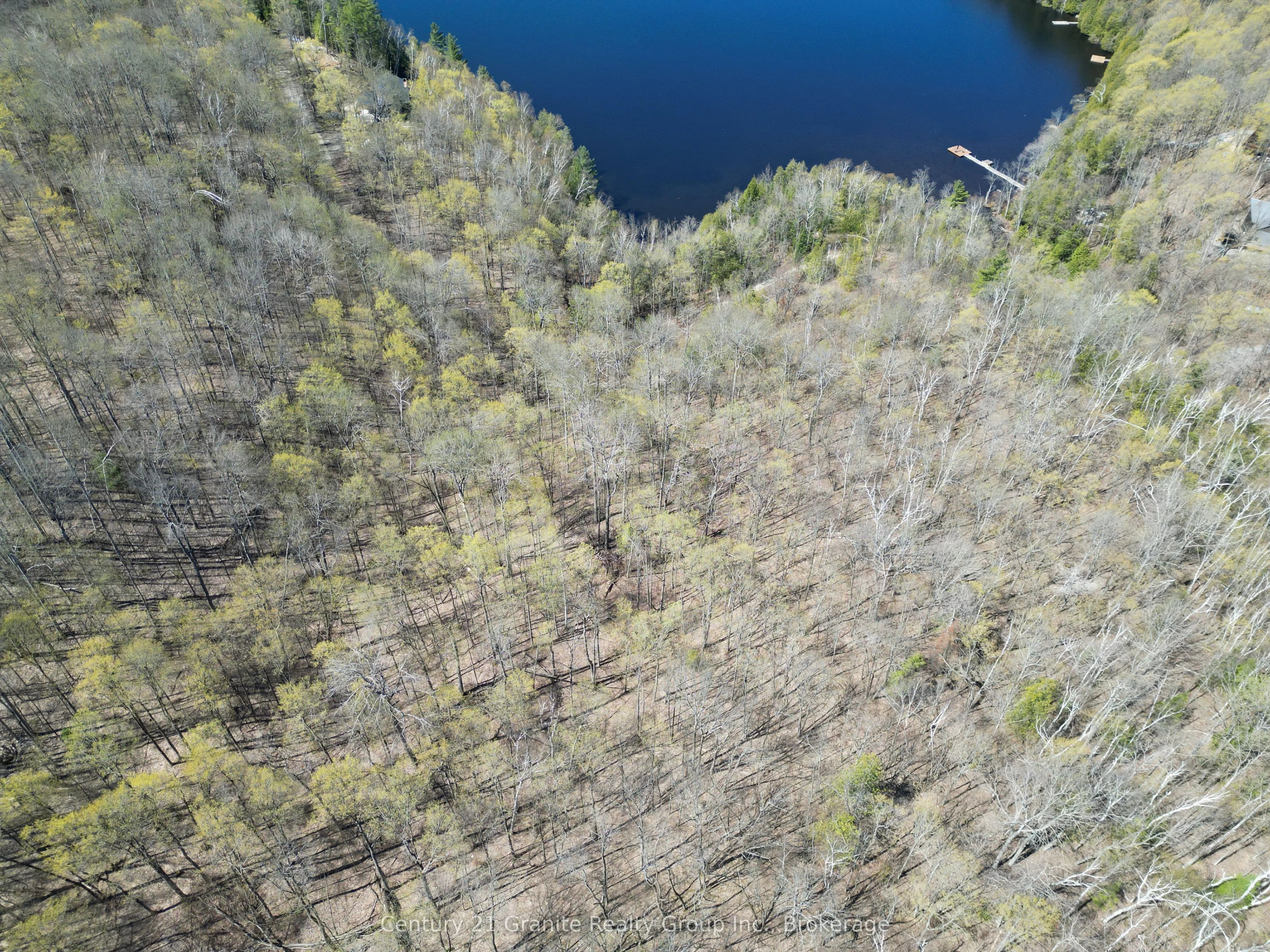 1325 Andek Trail