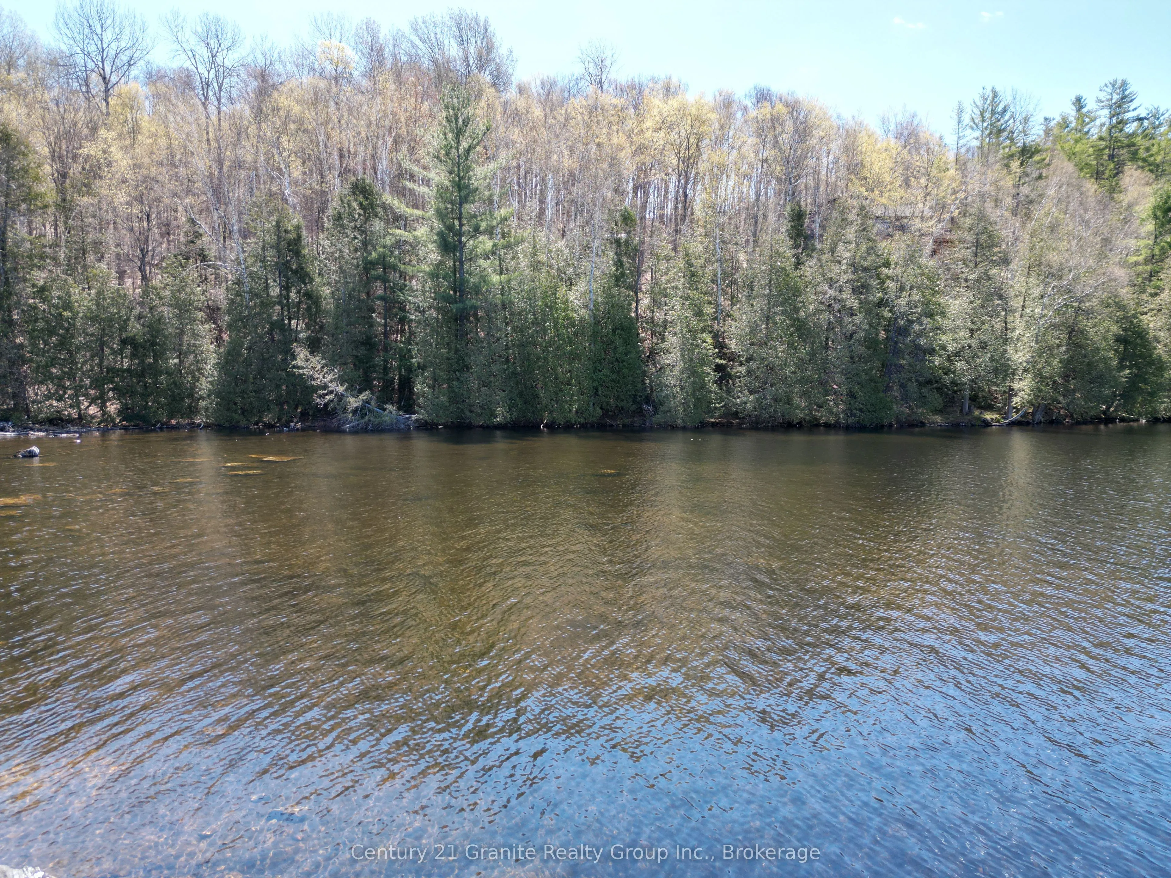 1325 Andek Trail