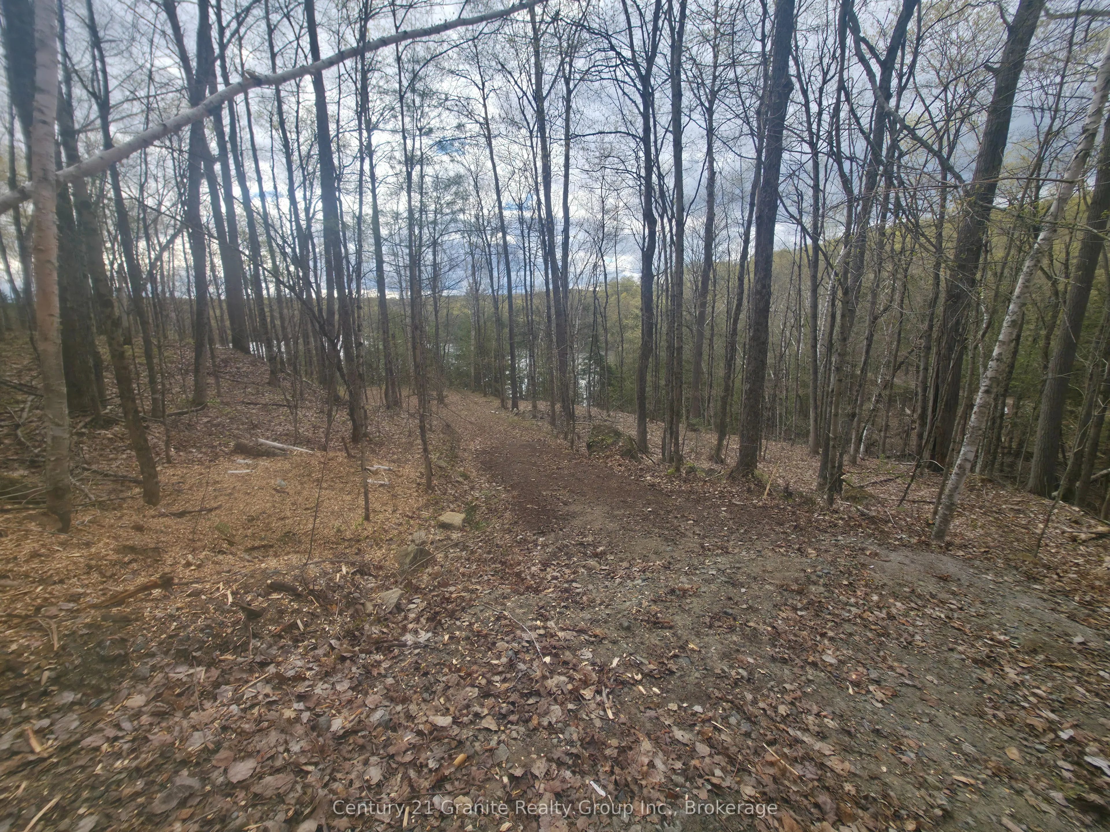 1325 Andek Trail