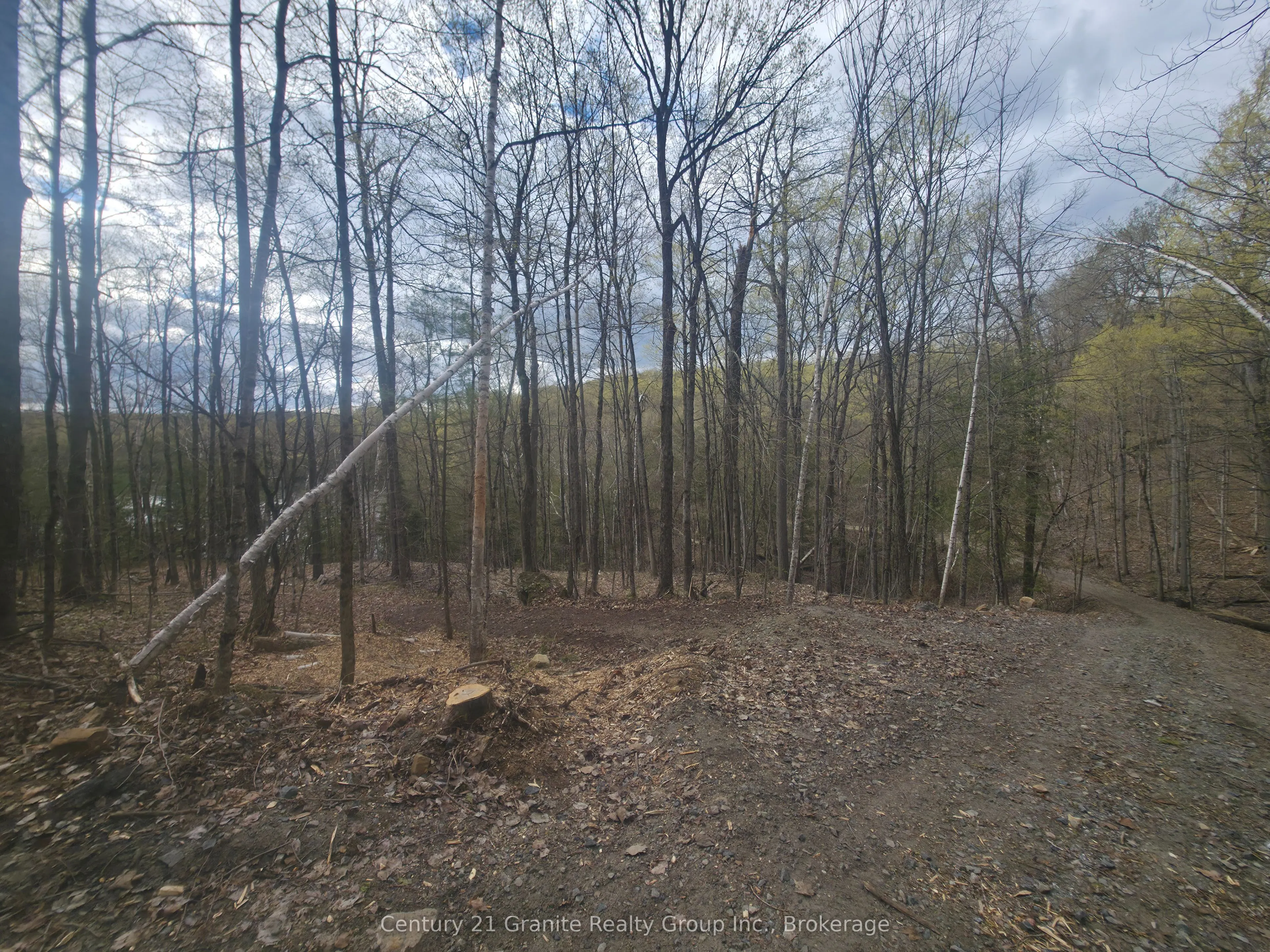 1325 Andek Trail