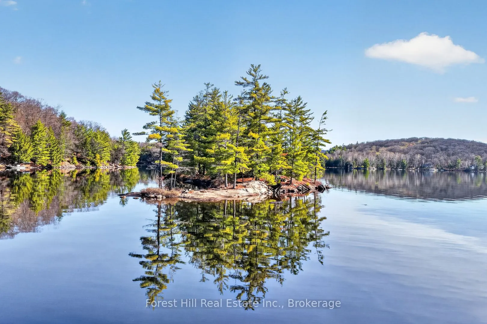10835 Raven Lake West Shore Township