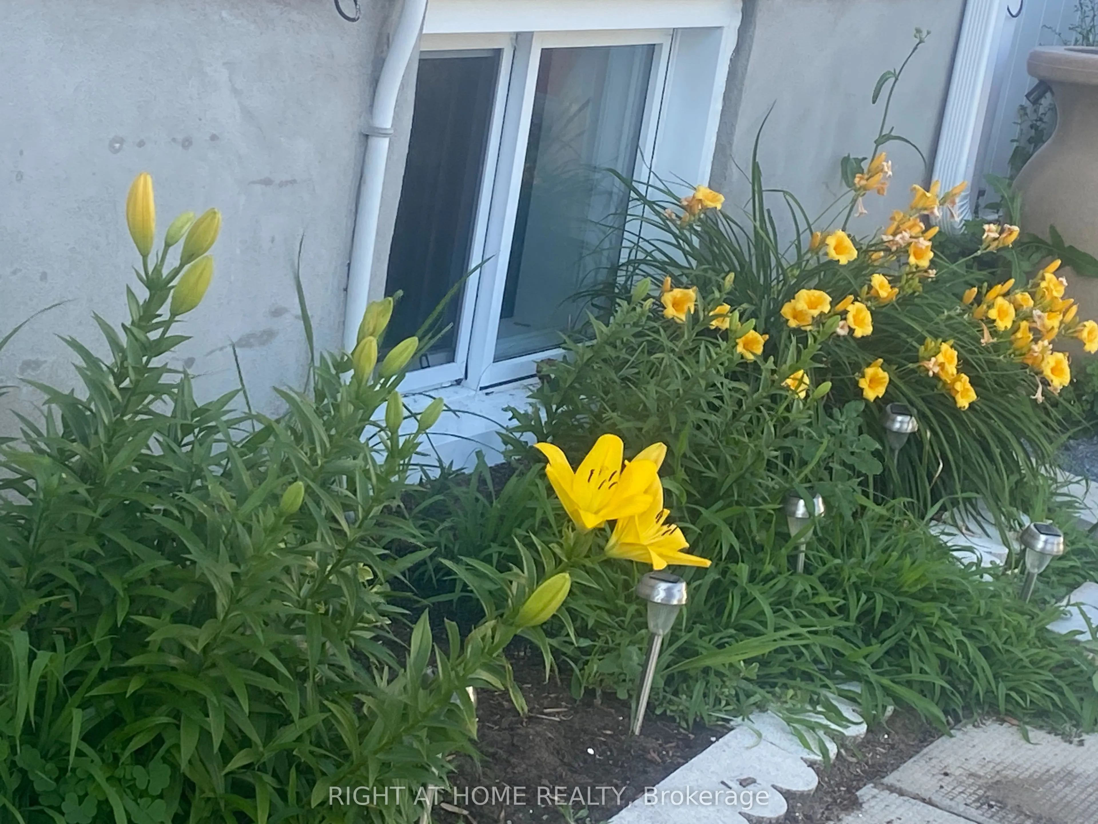 2439 Raymond Street