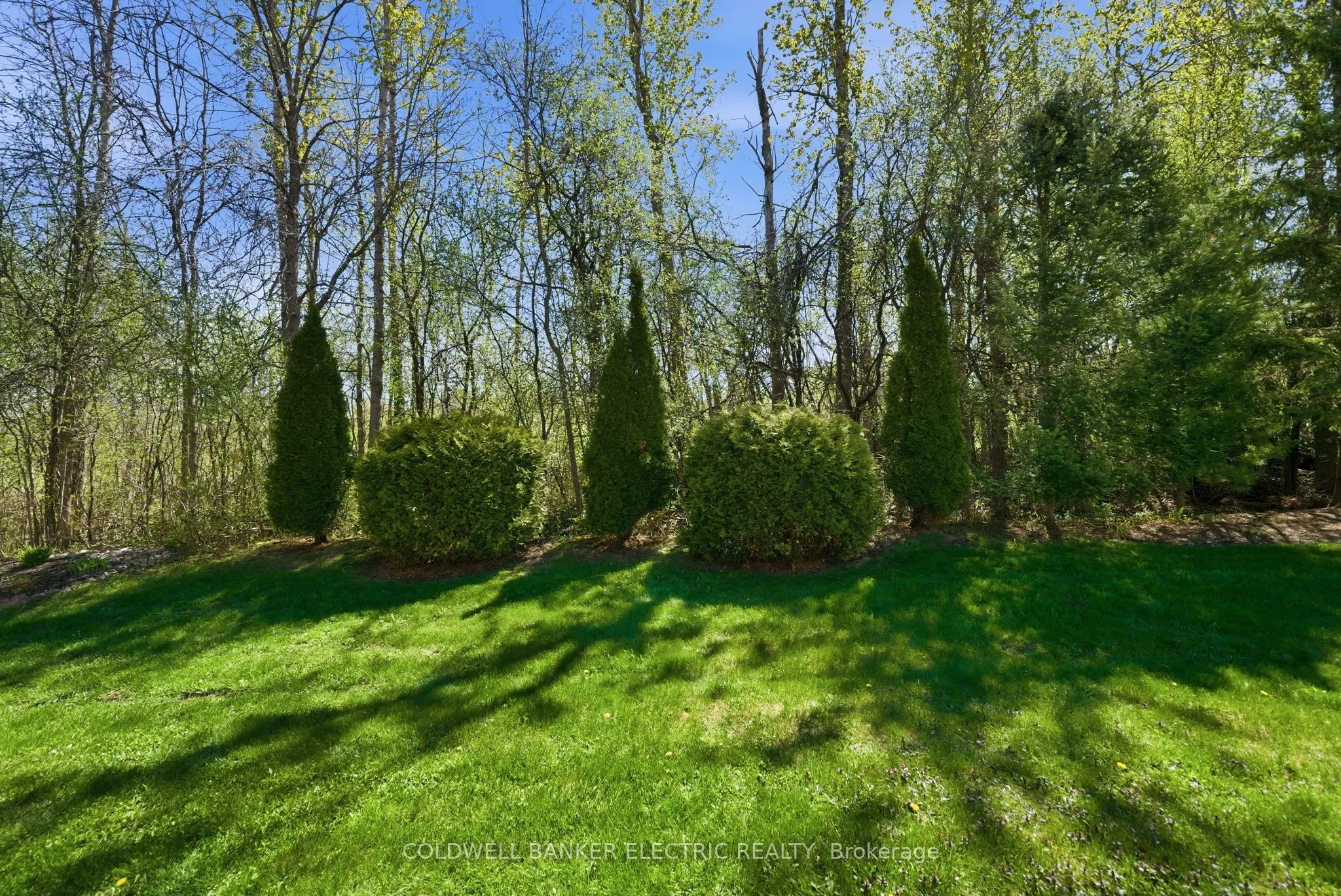 300 Franmor Drive #40