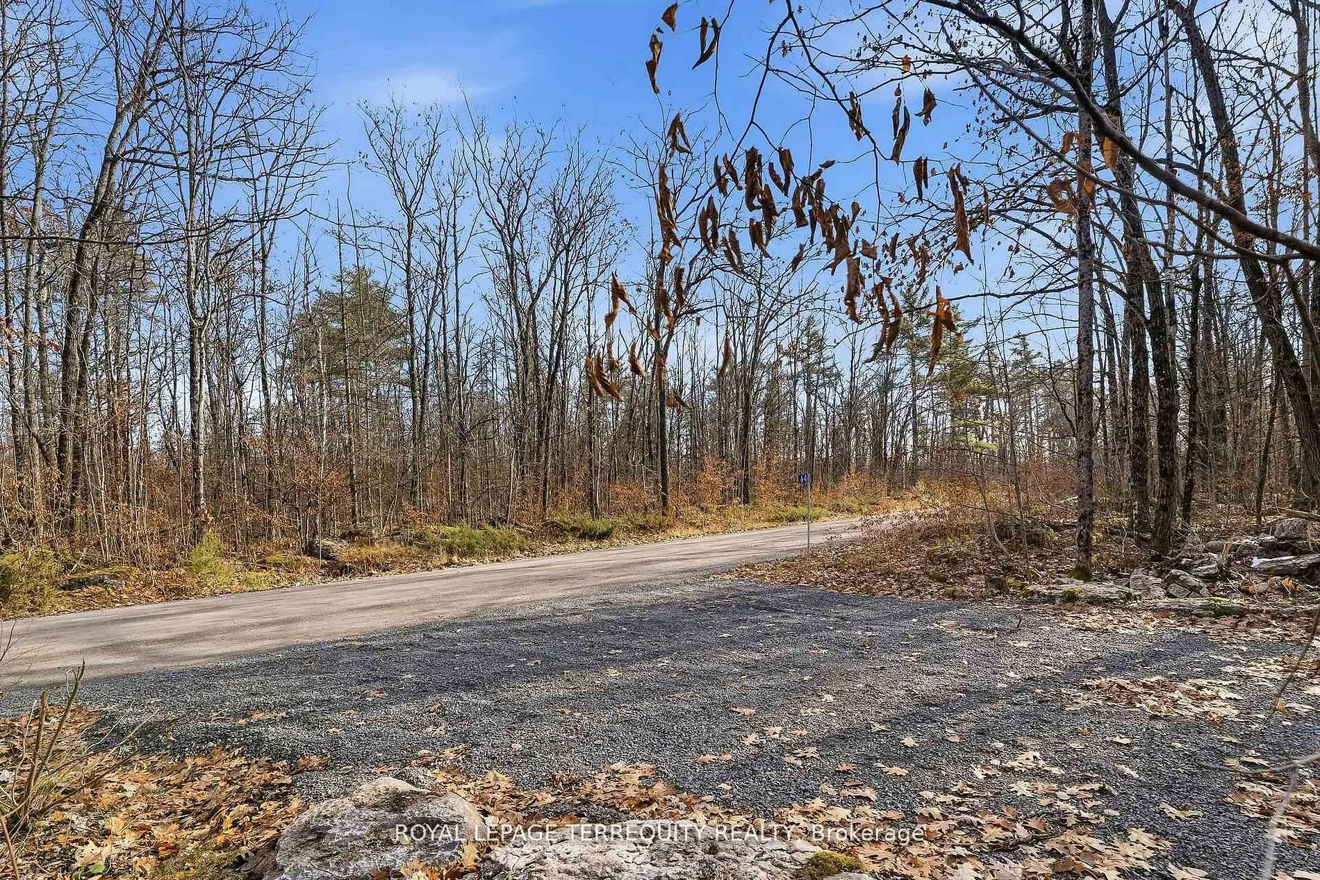 64 Maple Road