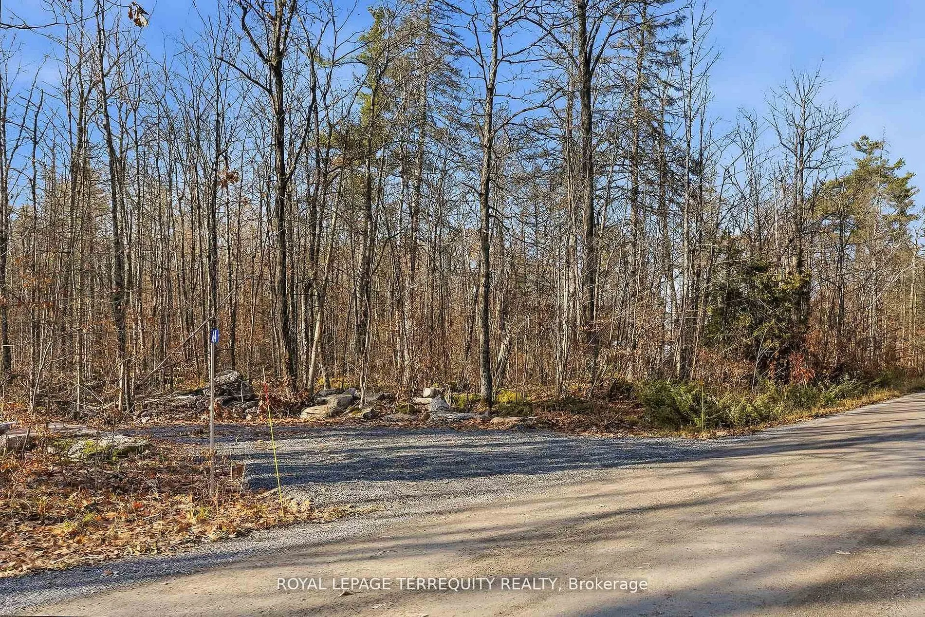 64 Maple Road