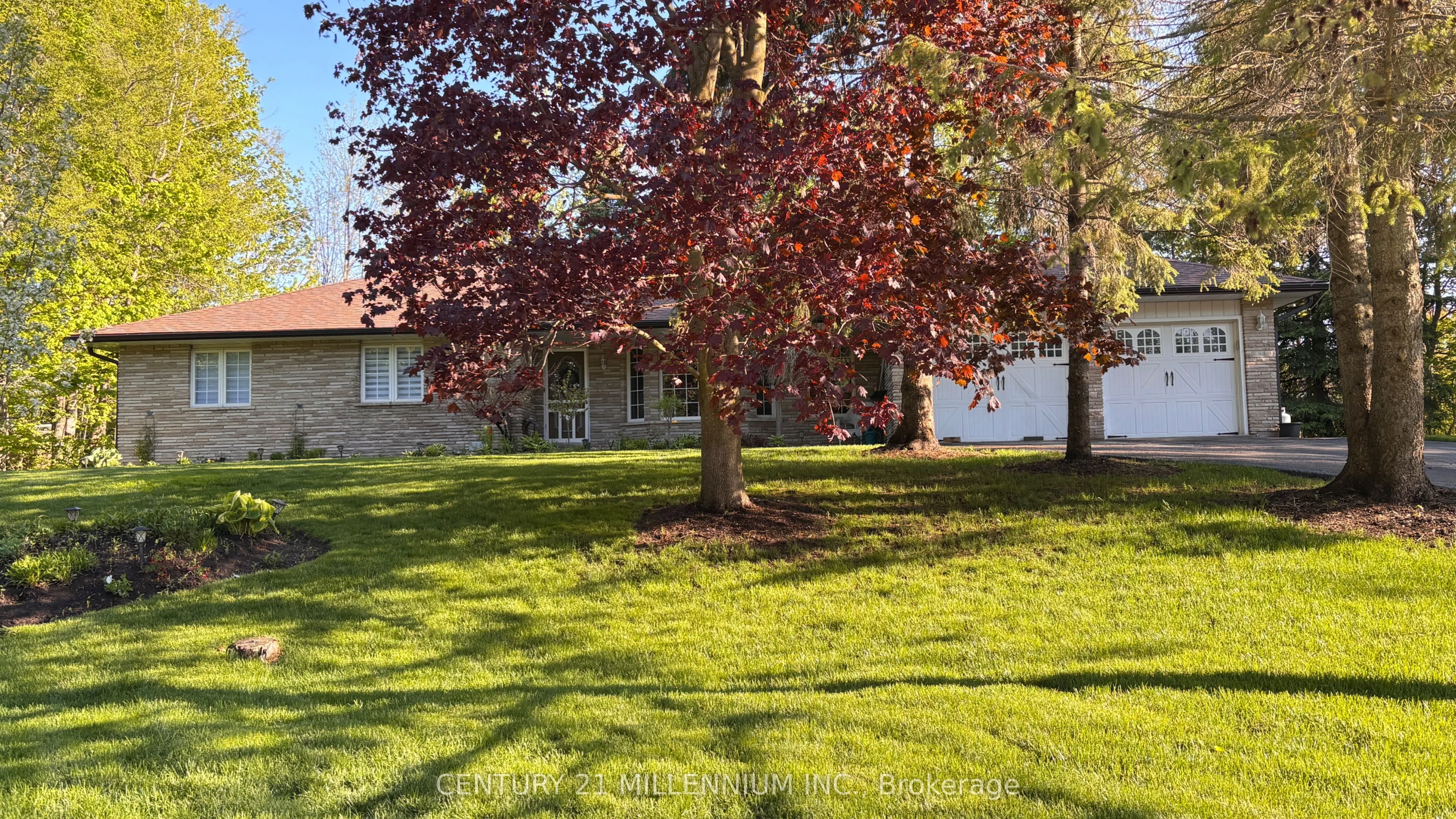 101 Birch Grove