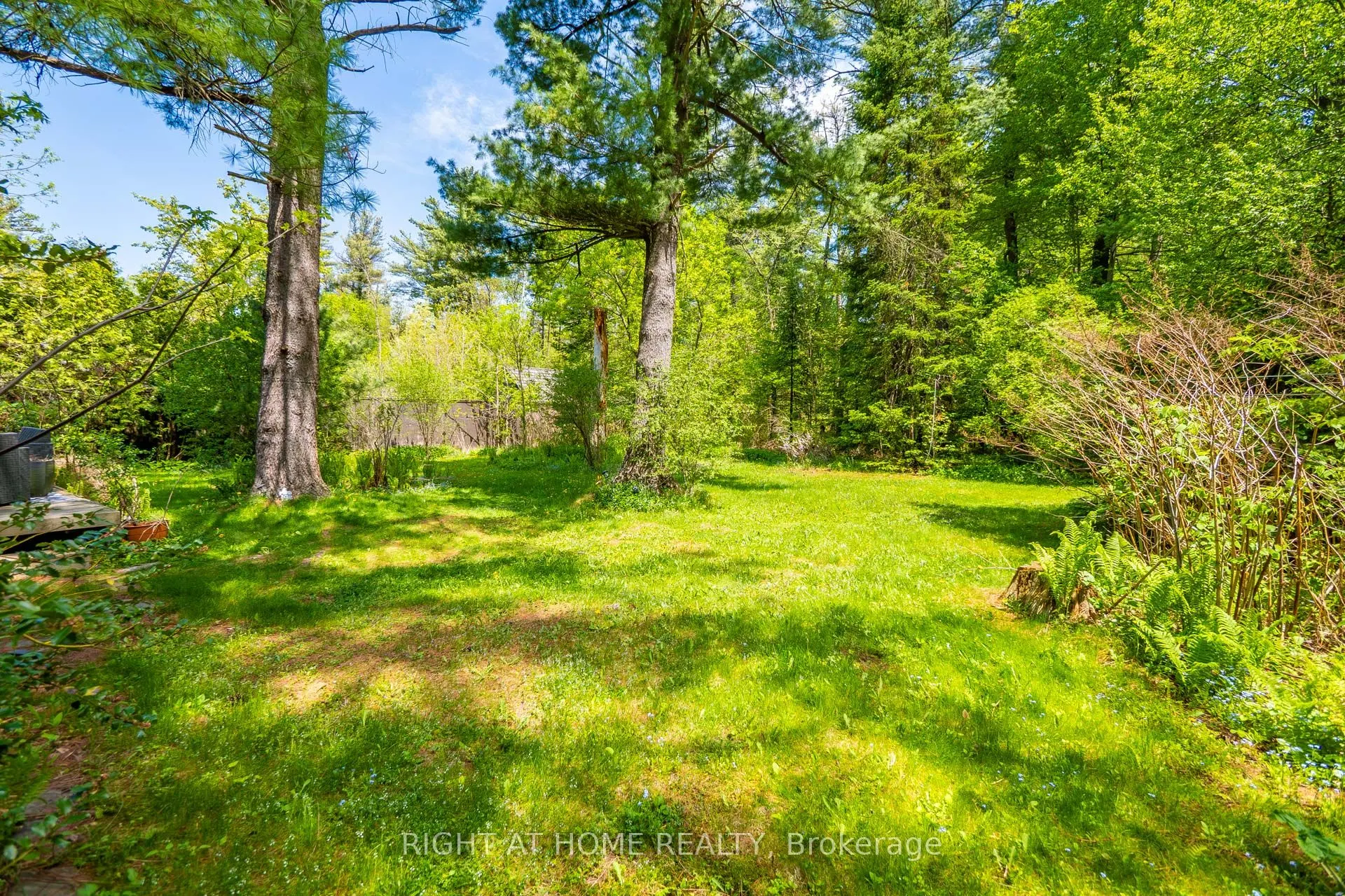 255 Shaver Road